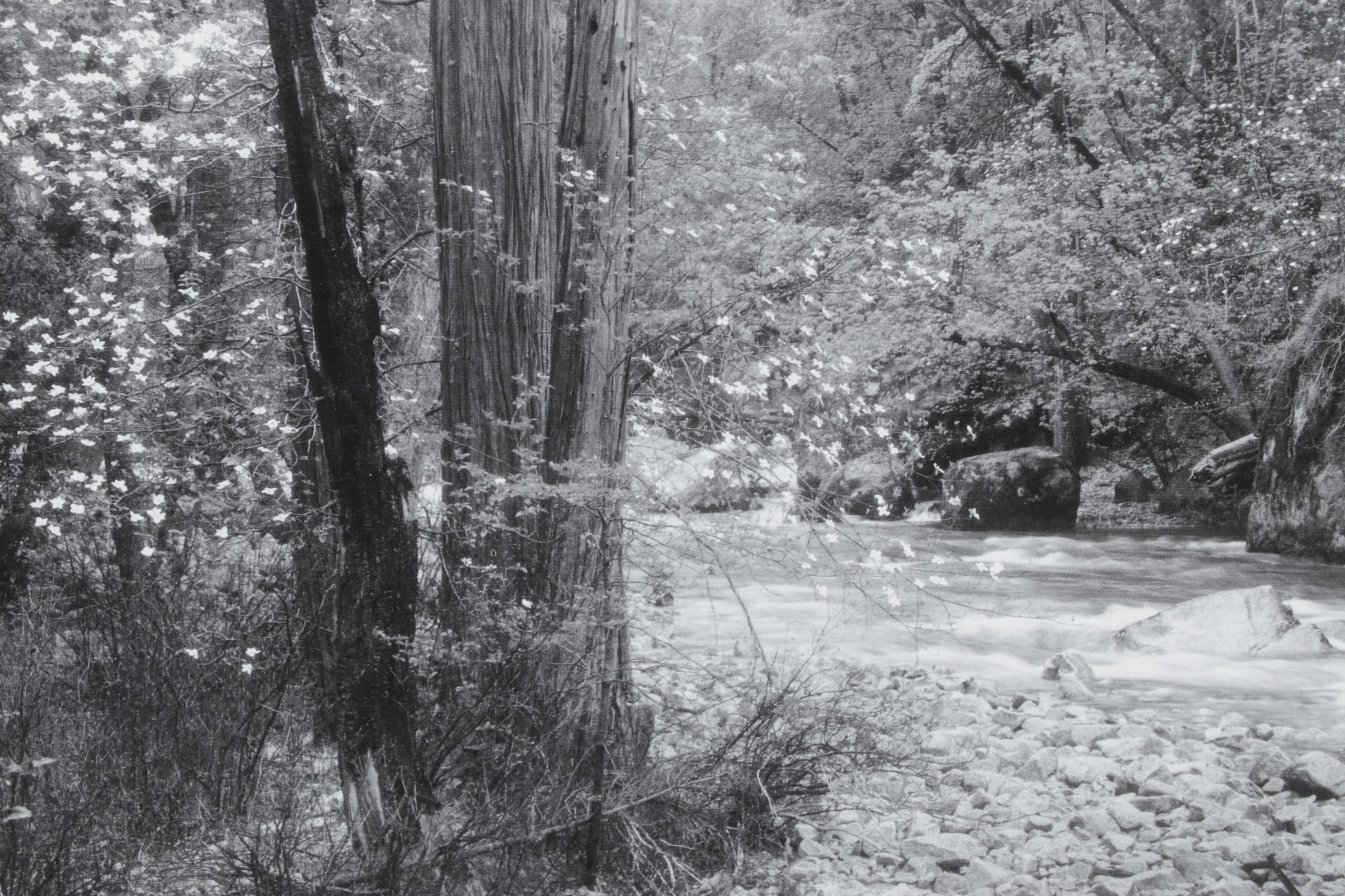 Ansel Adams "Tenaya Creek" Offset Lithograph, Late 20th to Early 21st Century