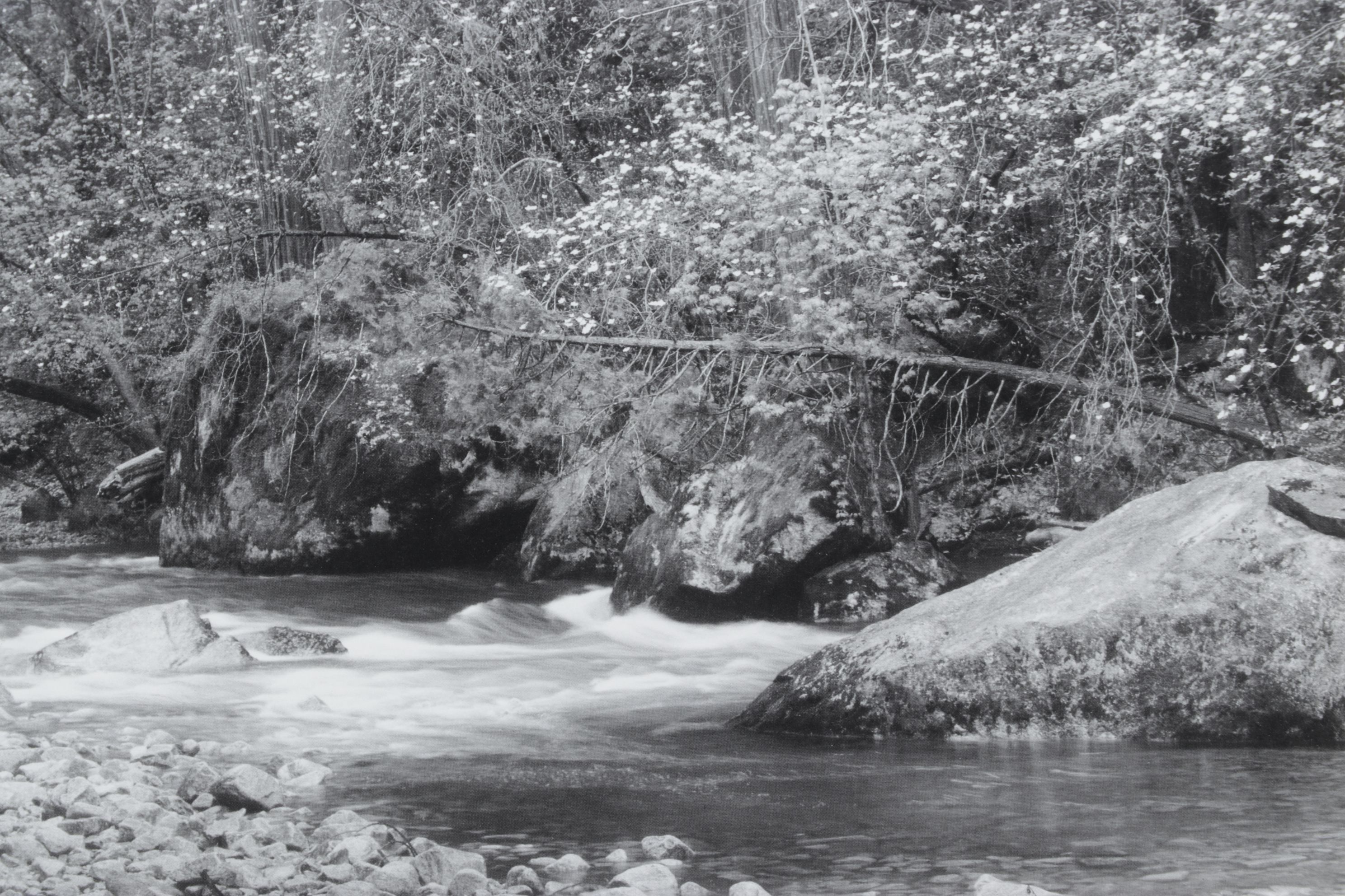 Ansel Adams "Tenaya Creek" Offset Lithograph, Late 20th to Early 21st Century