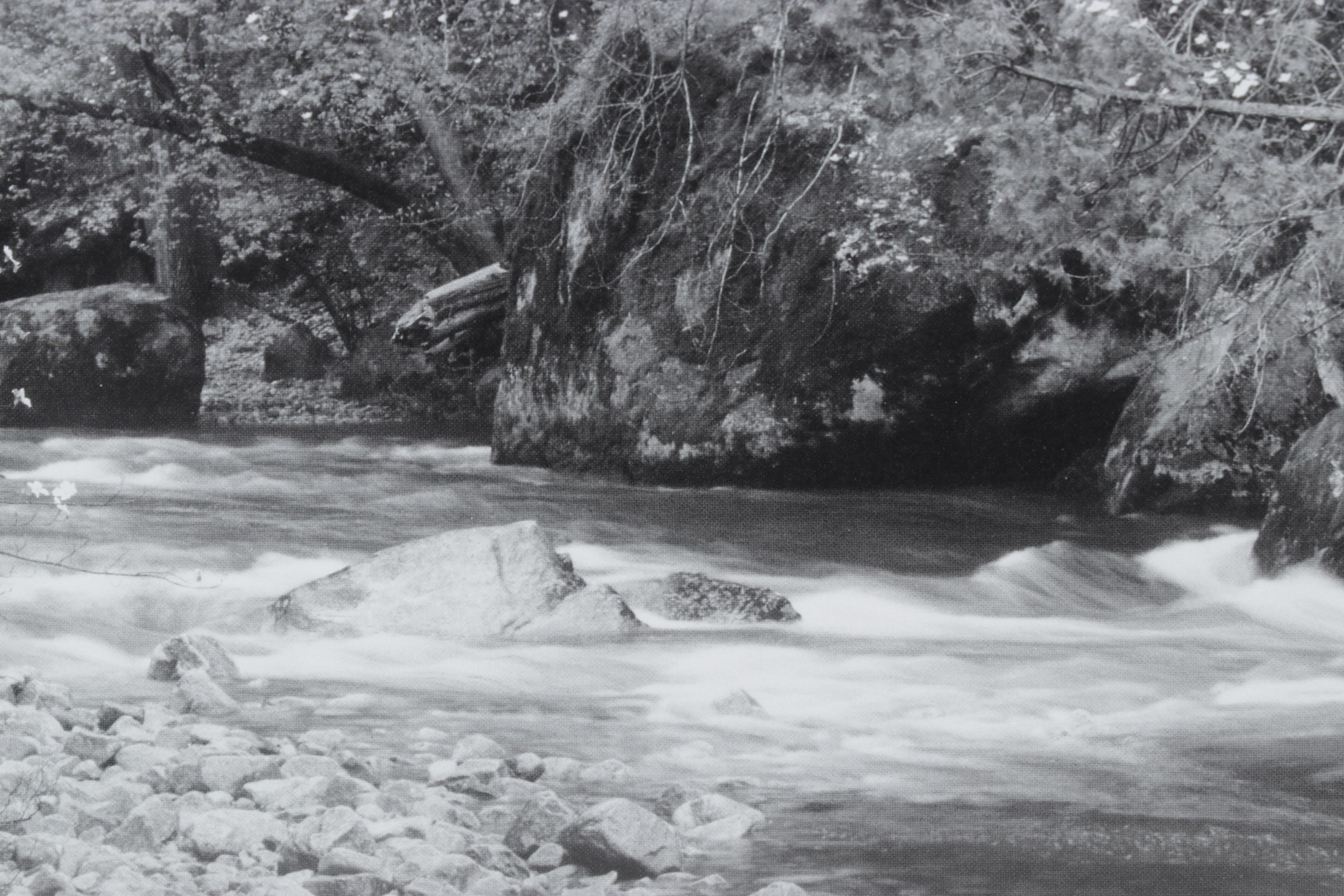 Ansel Adams "Tenaya Creek" Offset Lithograph, Late 20th to Early 21st Century