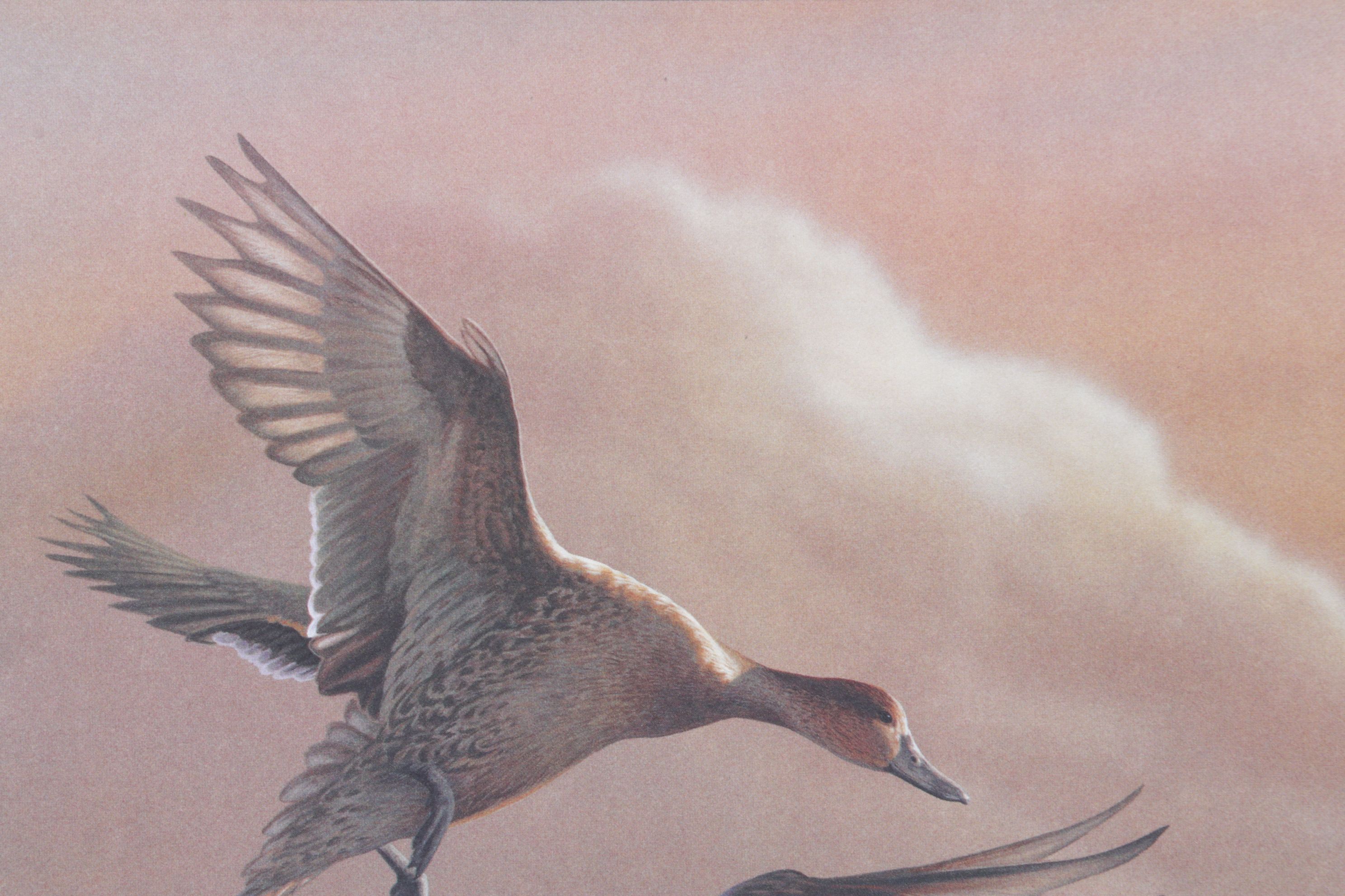 Richard Clifton "Landing Pintails, Lifting Fog" Offset Lithograph