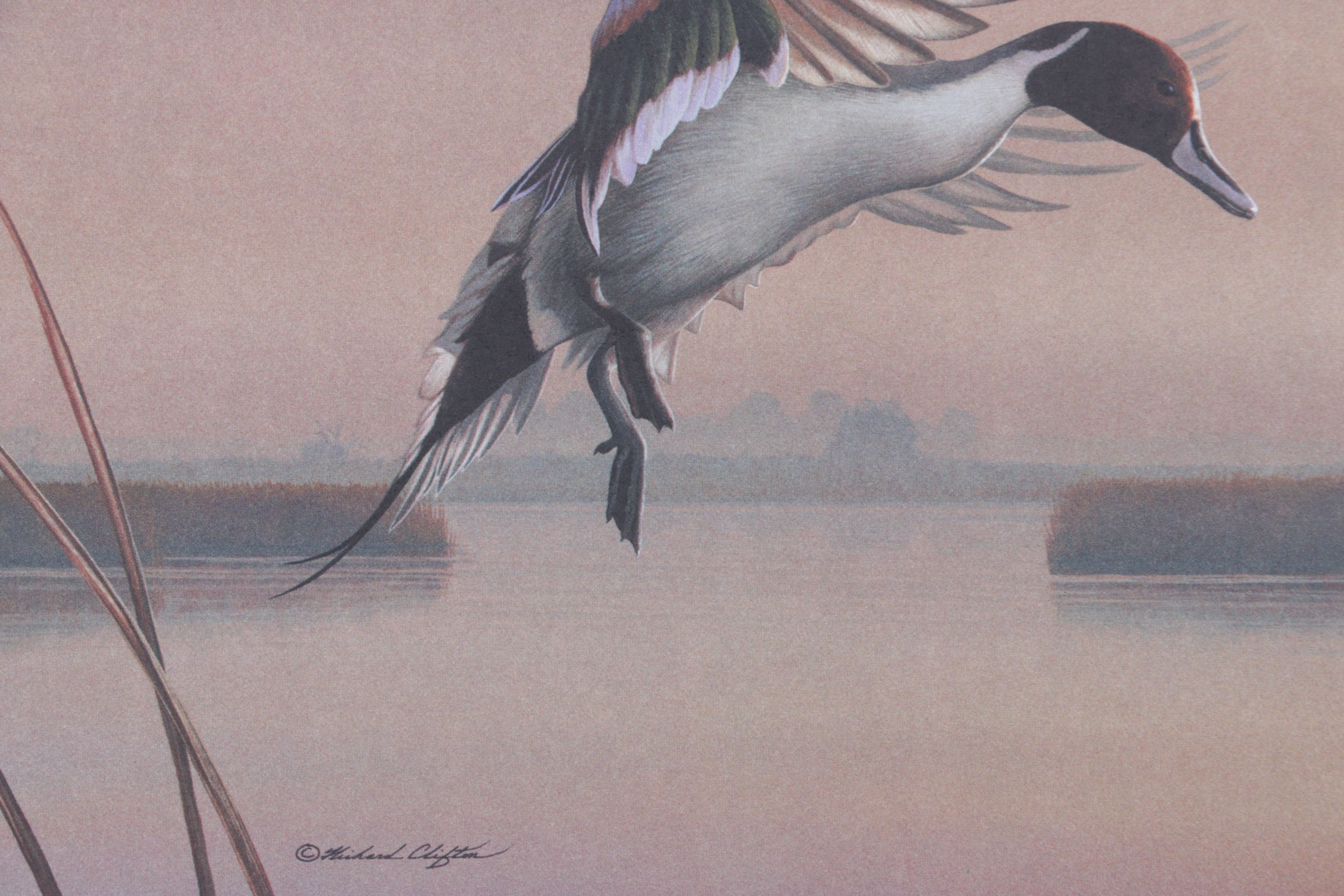 Richard Clifton "Landing Pintails, Lifting Fog" Offset Lithograph