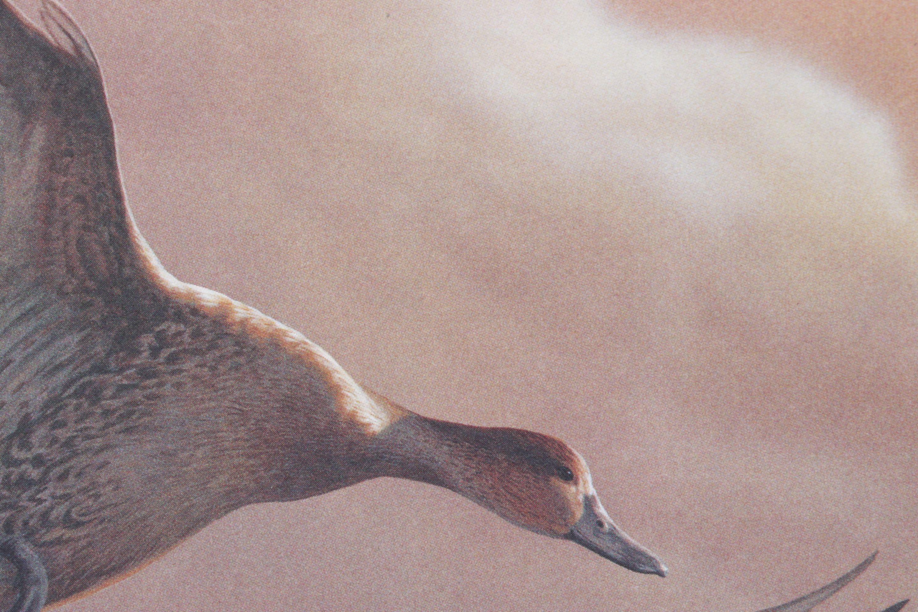 Richard Clifton "Landing Pintails, Lifting Fog" Offset Lithograph