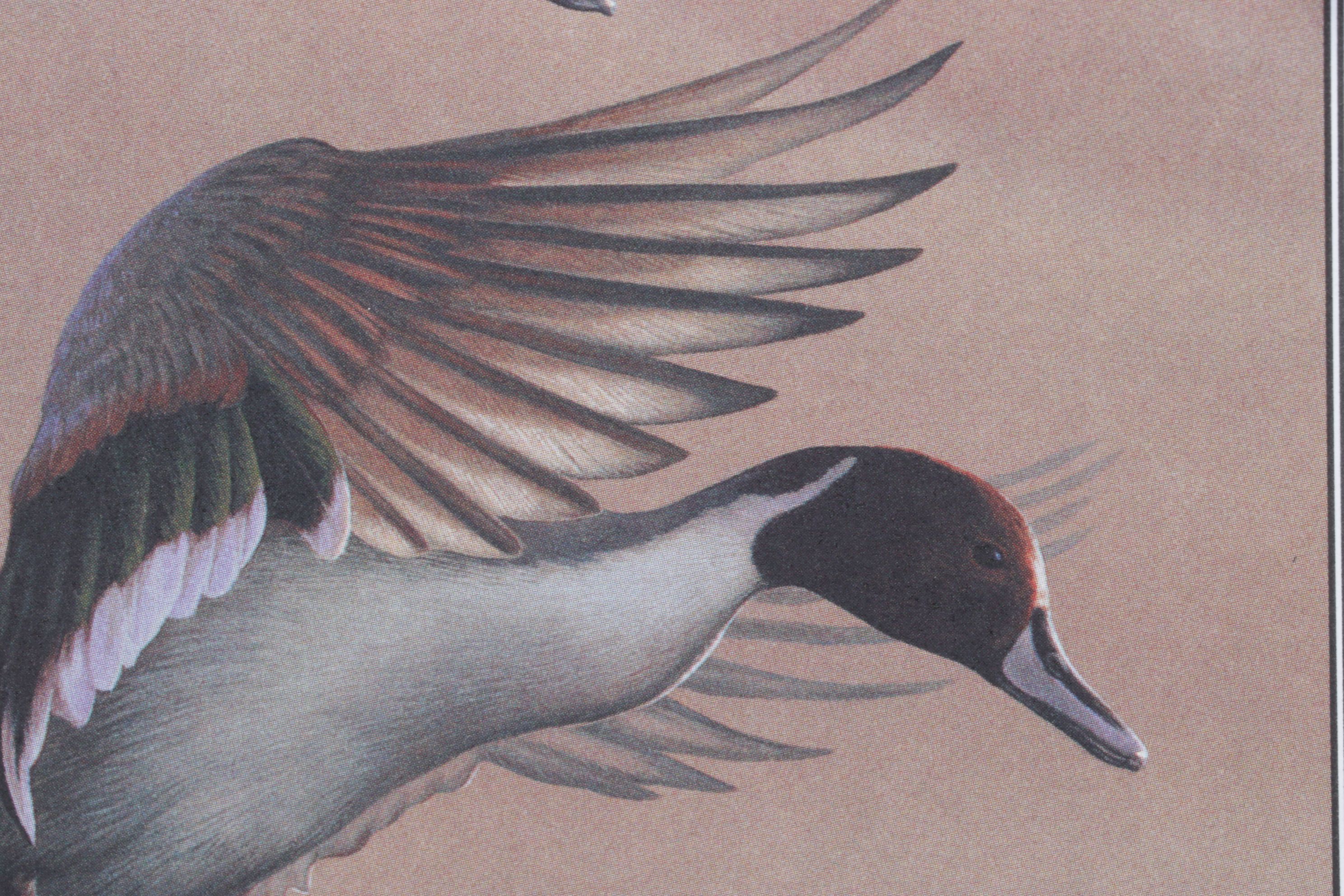 Richard Clifton "Landing Pintails, Lifting Fog" Offset Lithograph