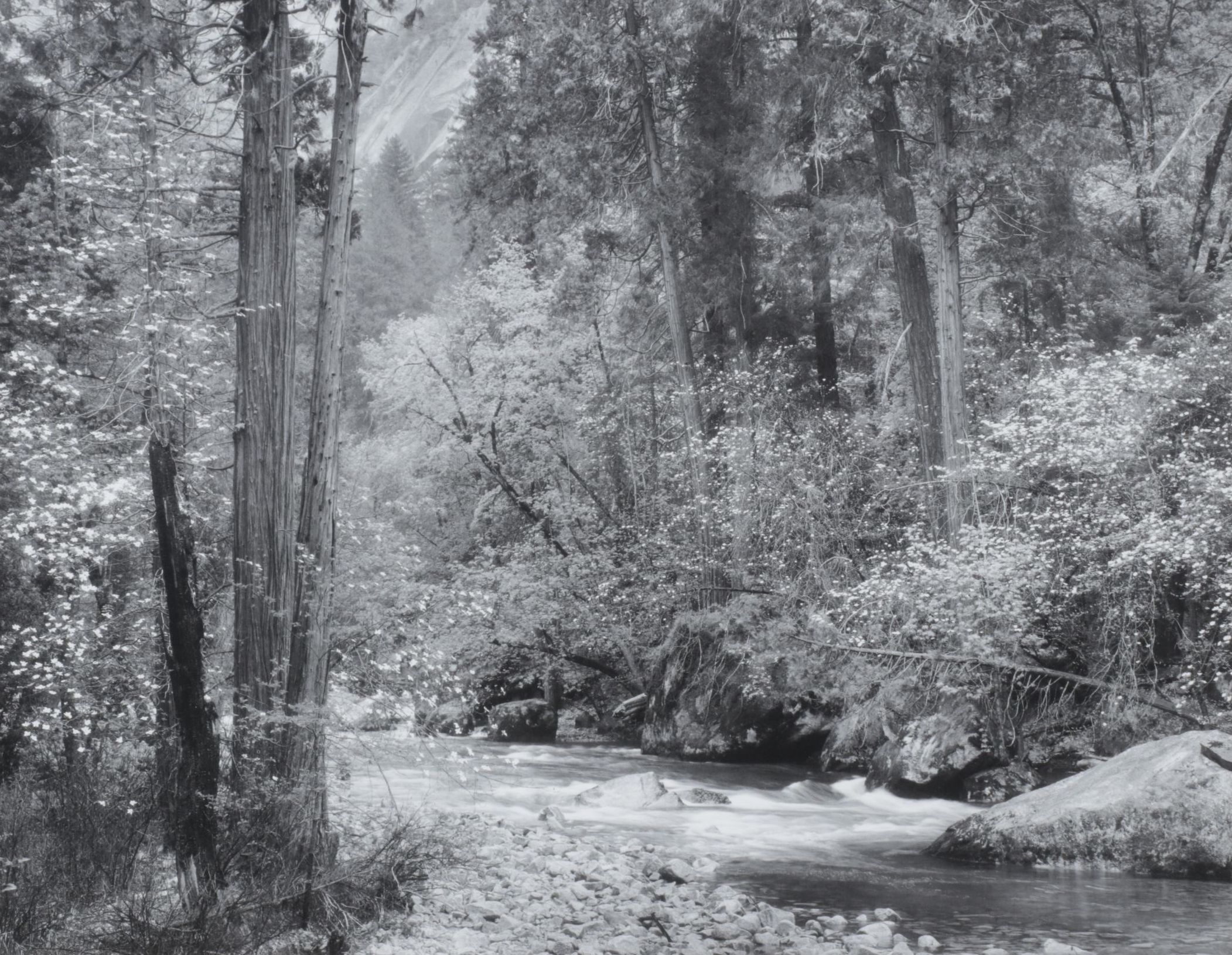 Ansel Adams "Tenaya Creek" Offset Lithograph, Late 20th to Early 21st Century