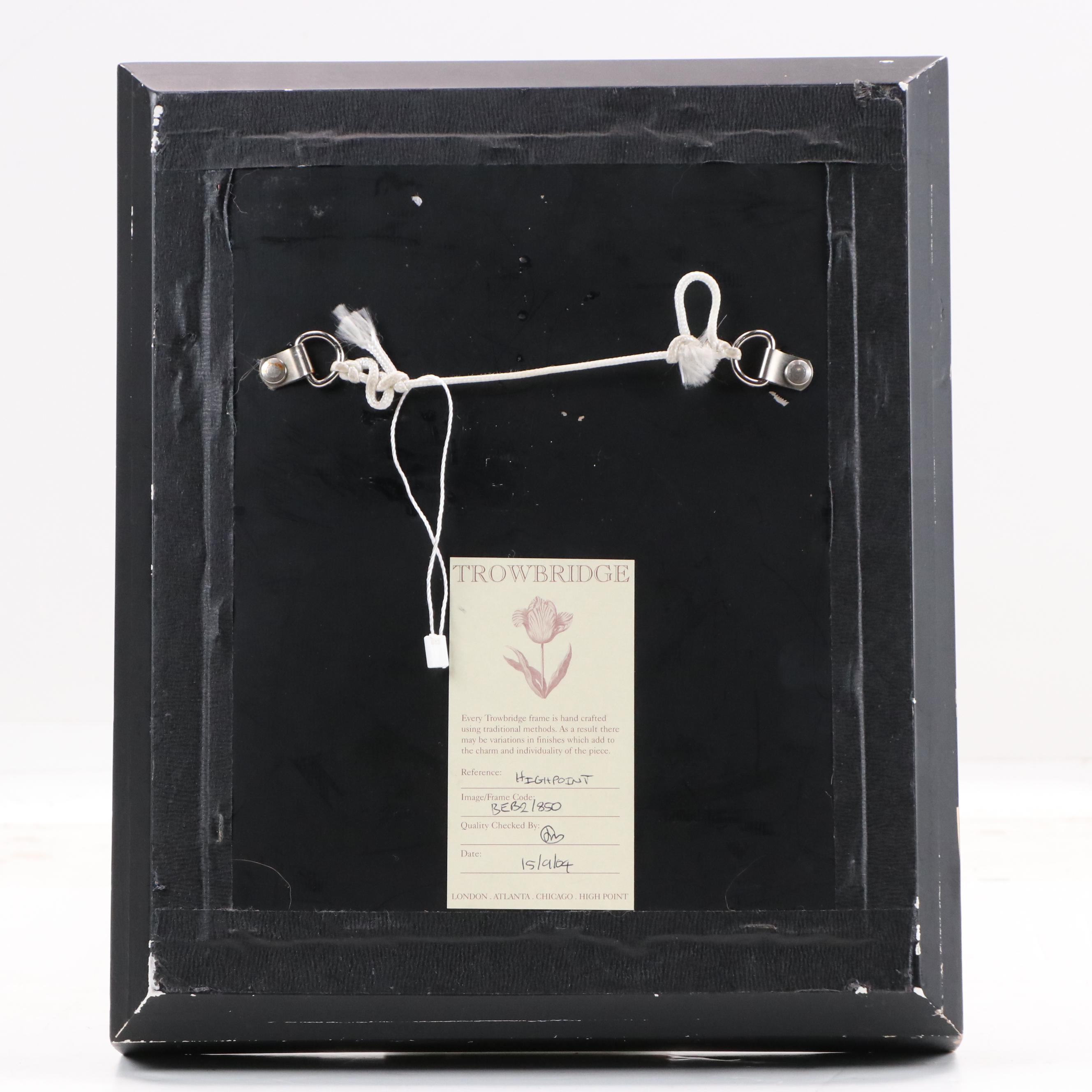 Botanical "Cineraria Amelloides" Print with Beveled Mirror Frame