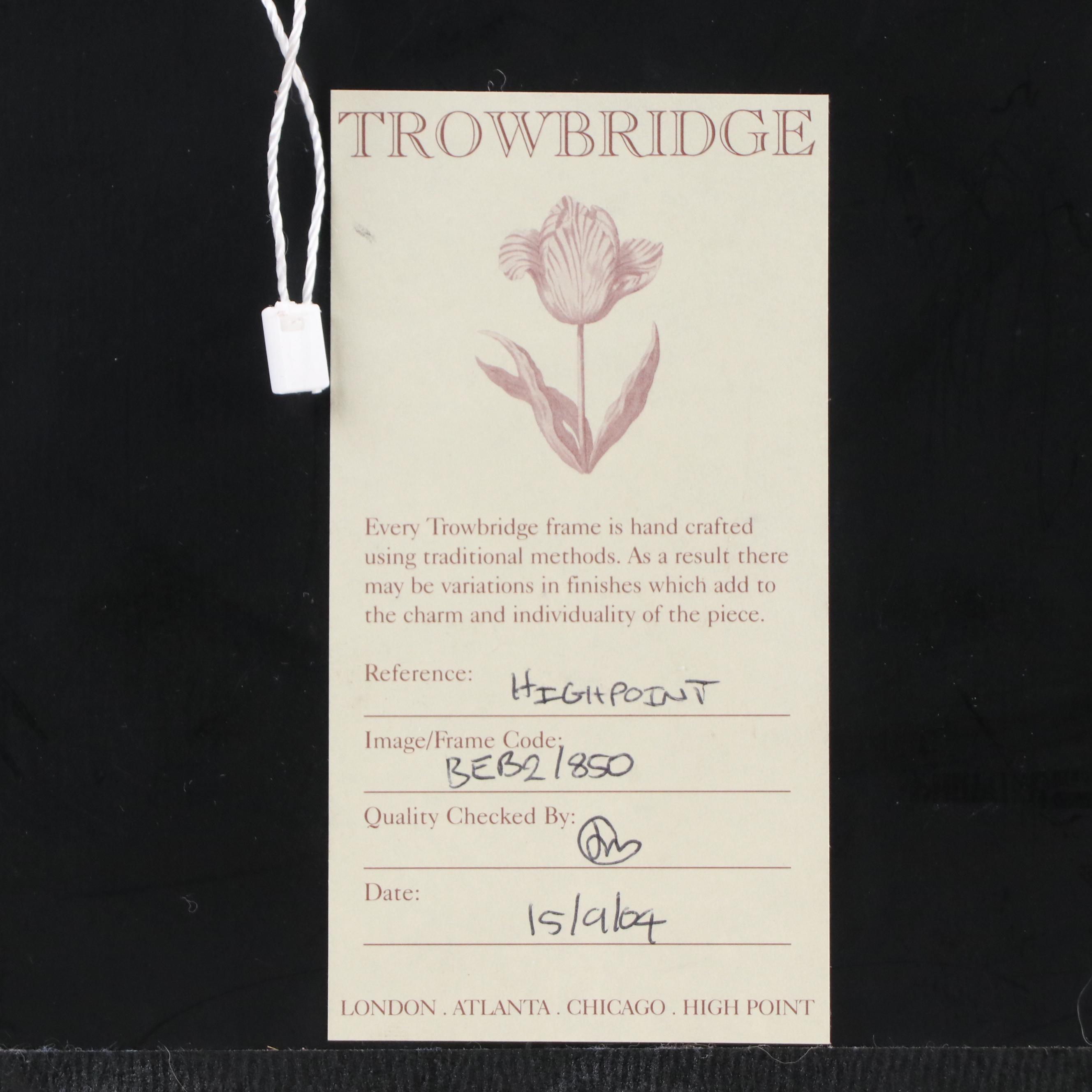 Botanical "Cineraria Amelloides" Print with Beveled Mirror Frame