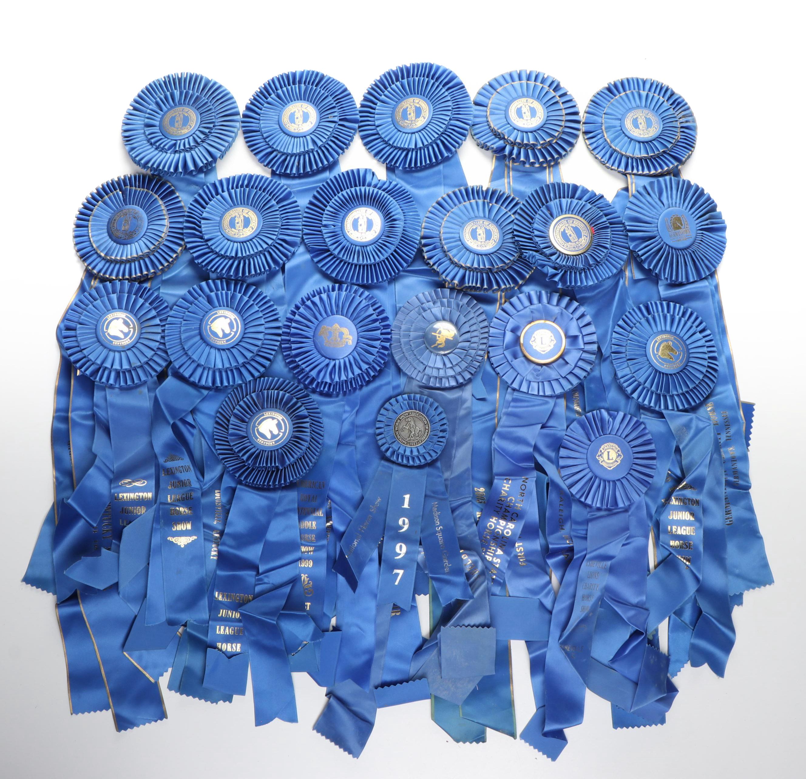Paul DeLott Co. Equestrian Blue Ribbon Awards