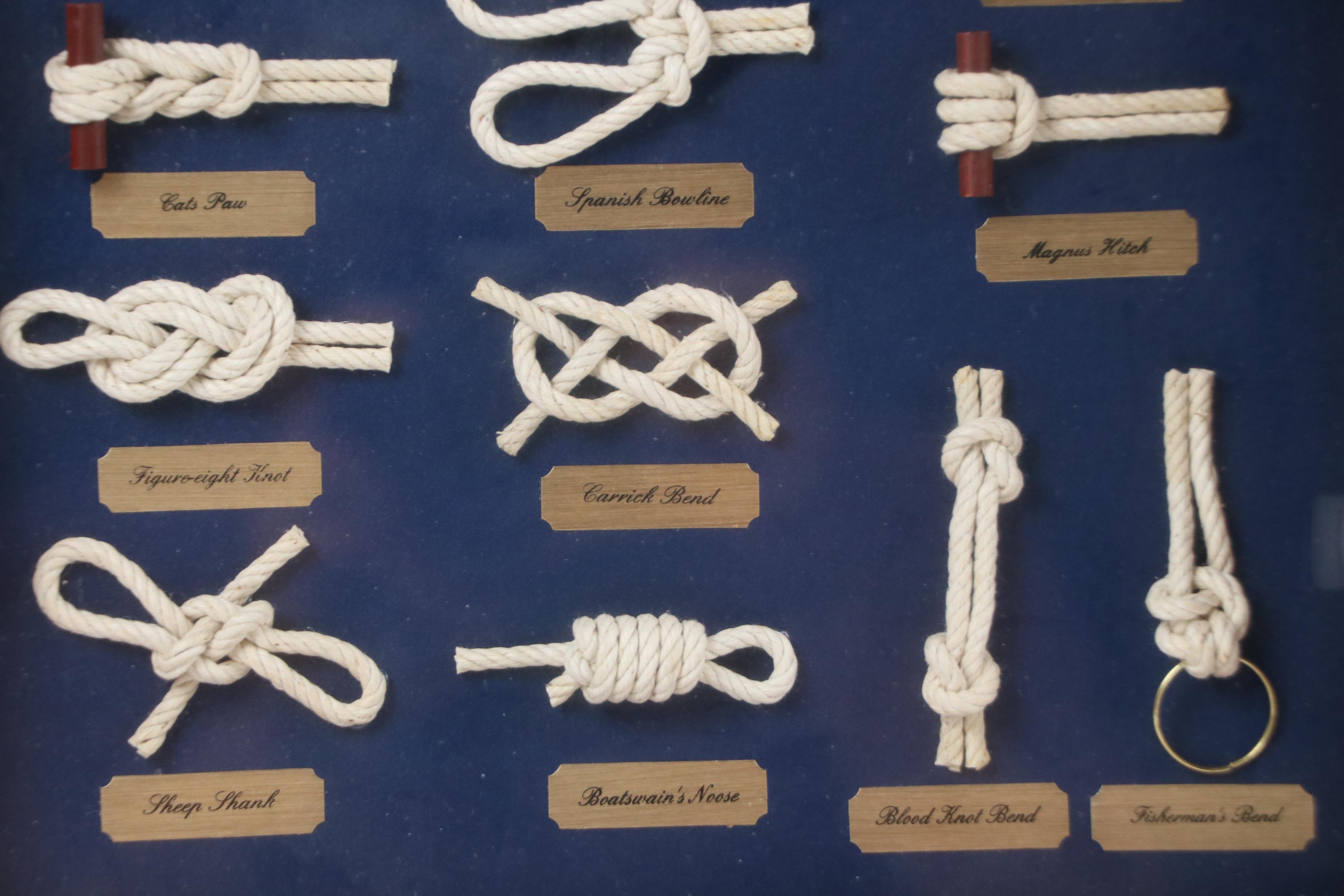 Oil Painting of Seashore with Framed Knot Collection