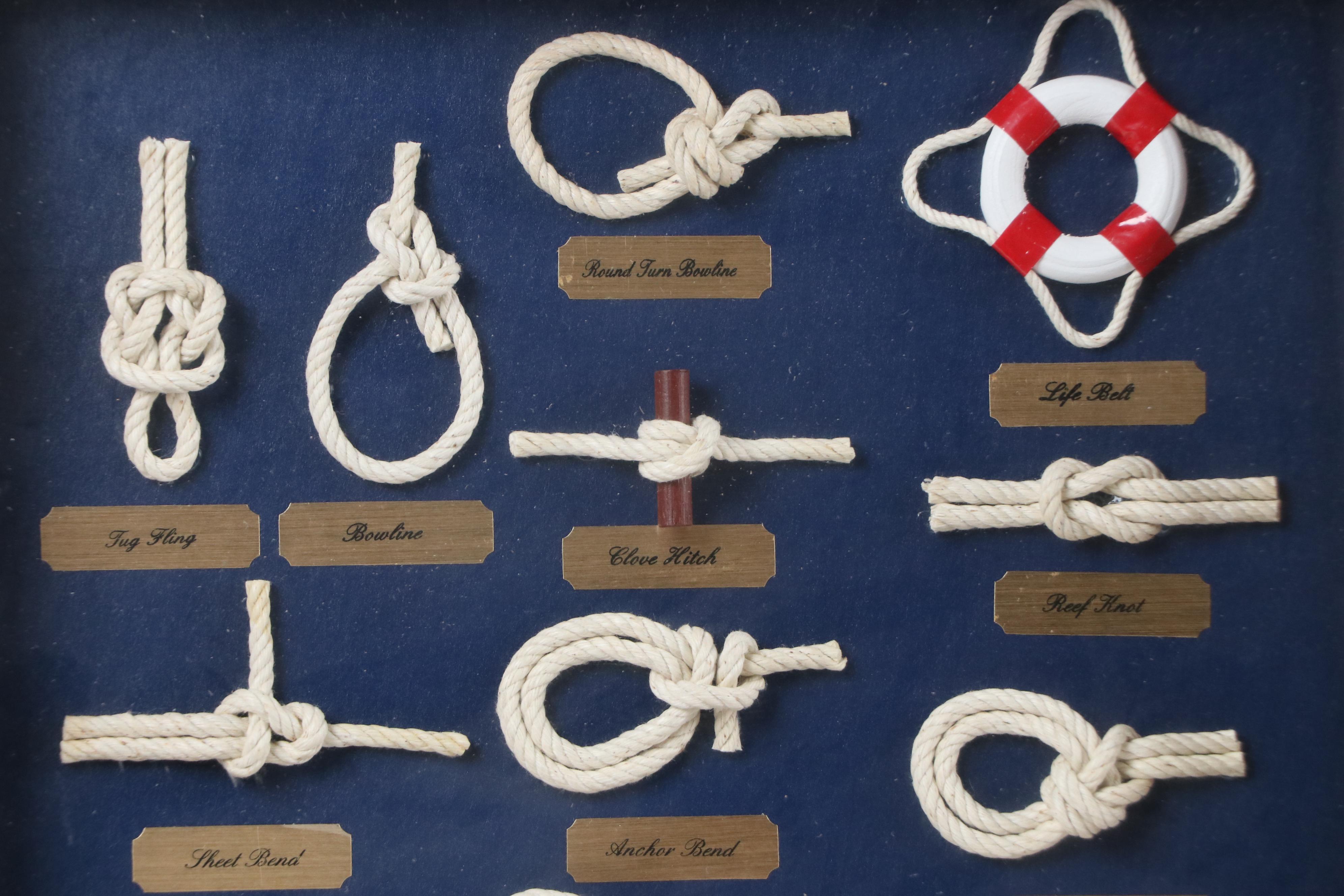 Oil Painting of Seashore with Framed Knot Collection