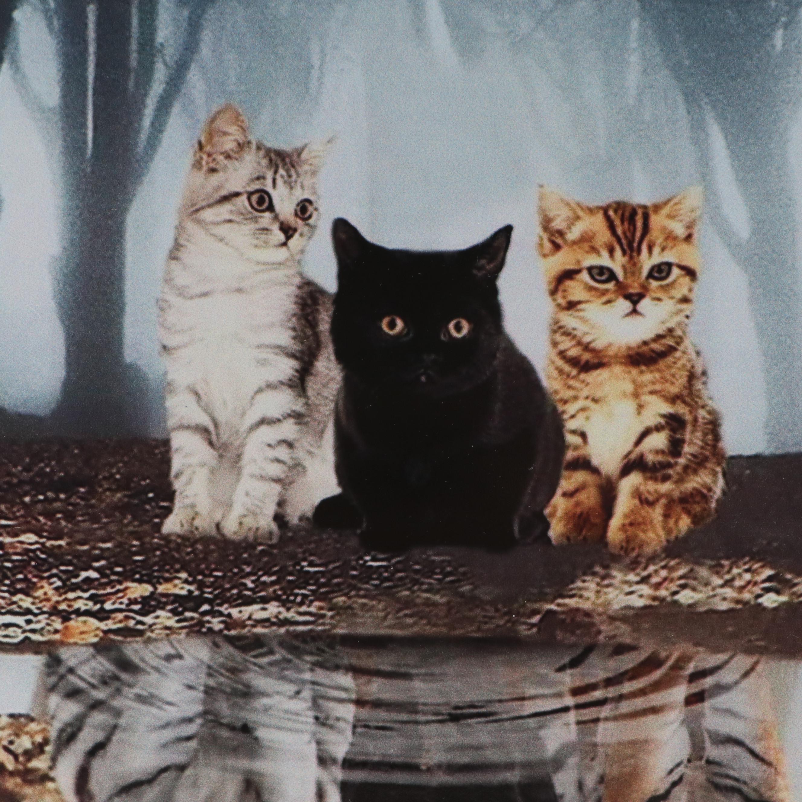 Halloween Kittens "What Matters Most is How You See Yourself" Printed Panel