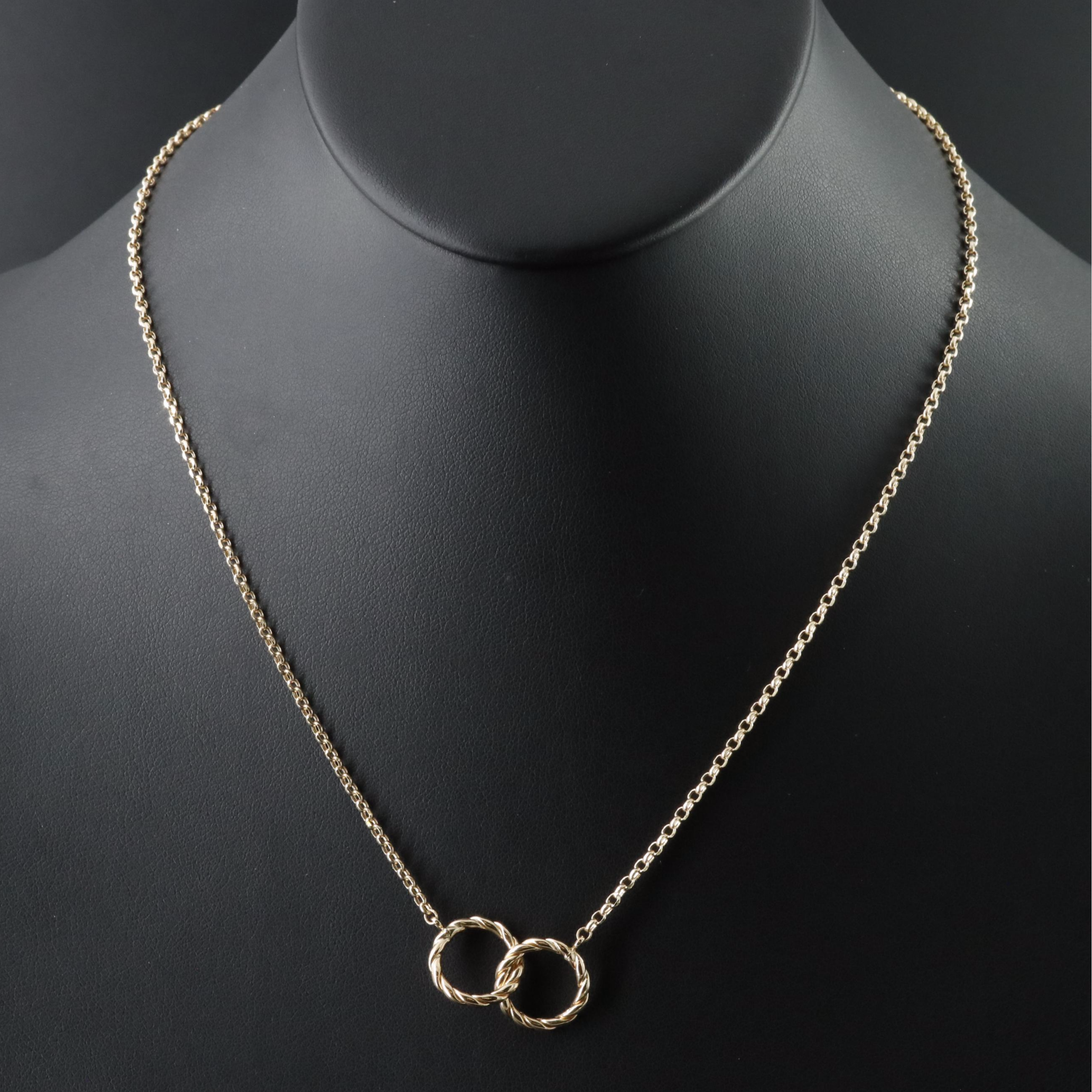 14K Interlocking Circle Necklace