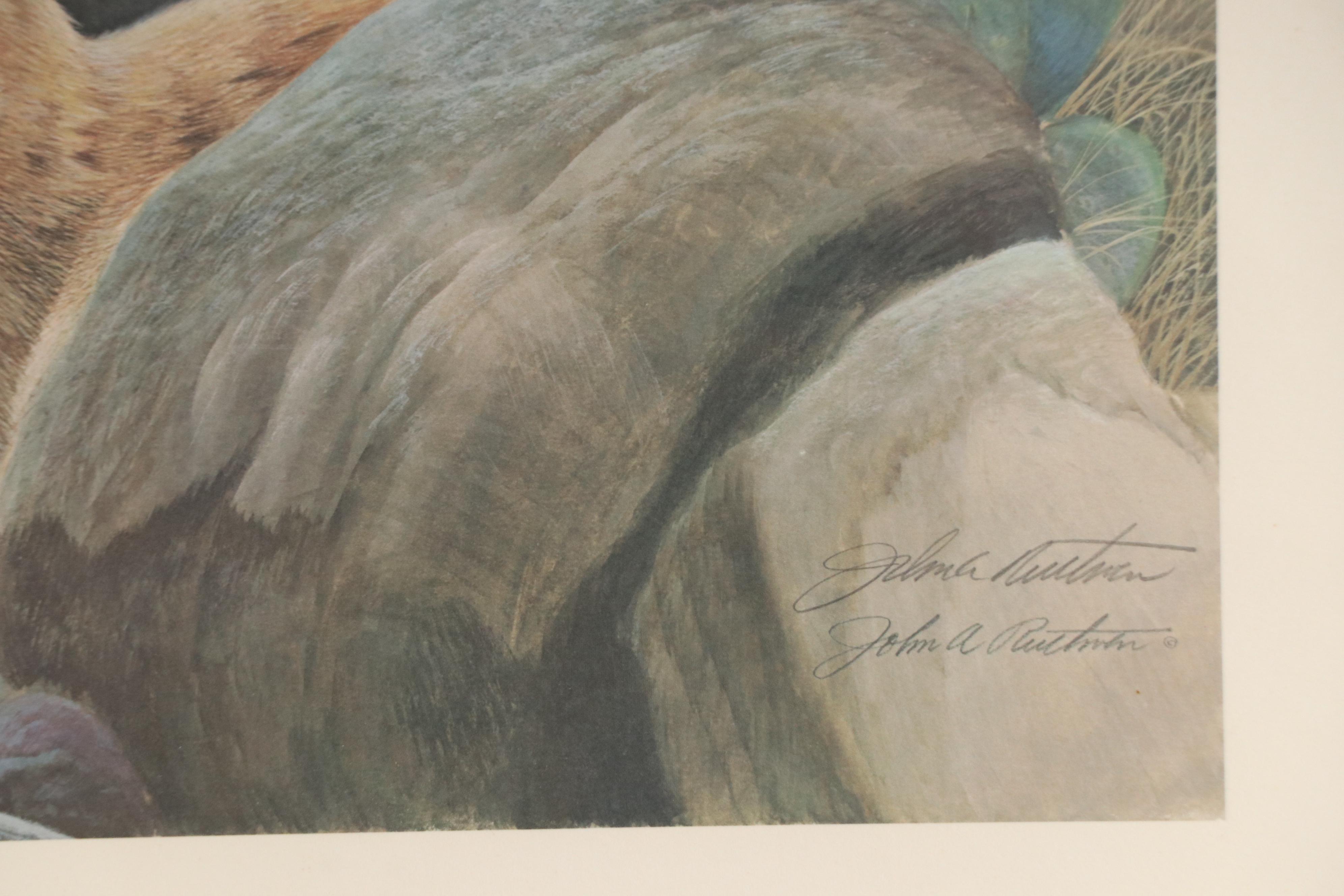 John A. Ruthven Offset Lithograph "Kit Fox"