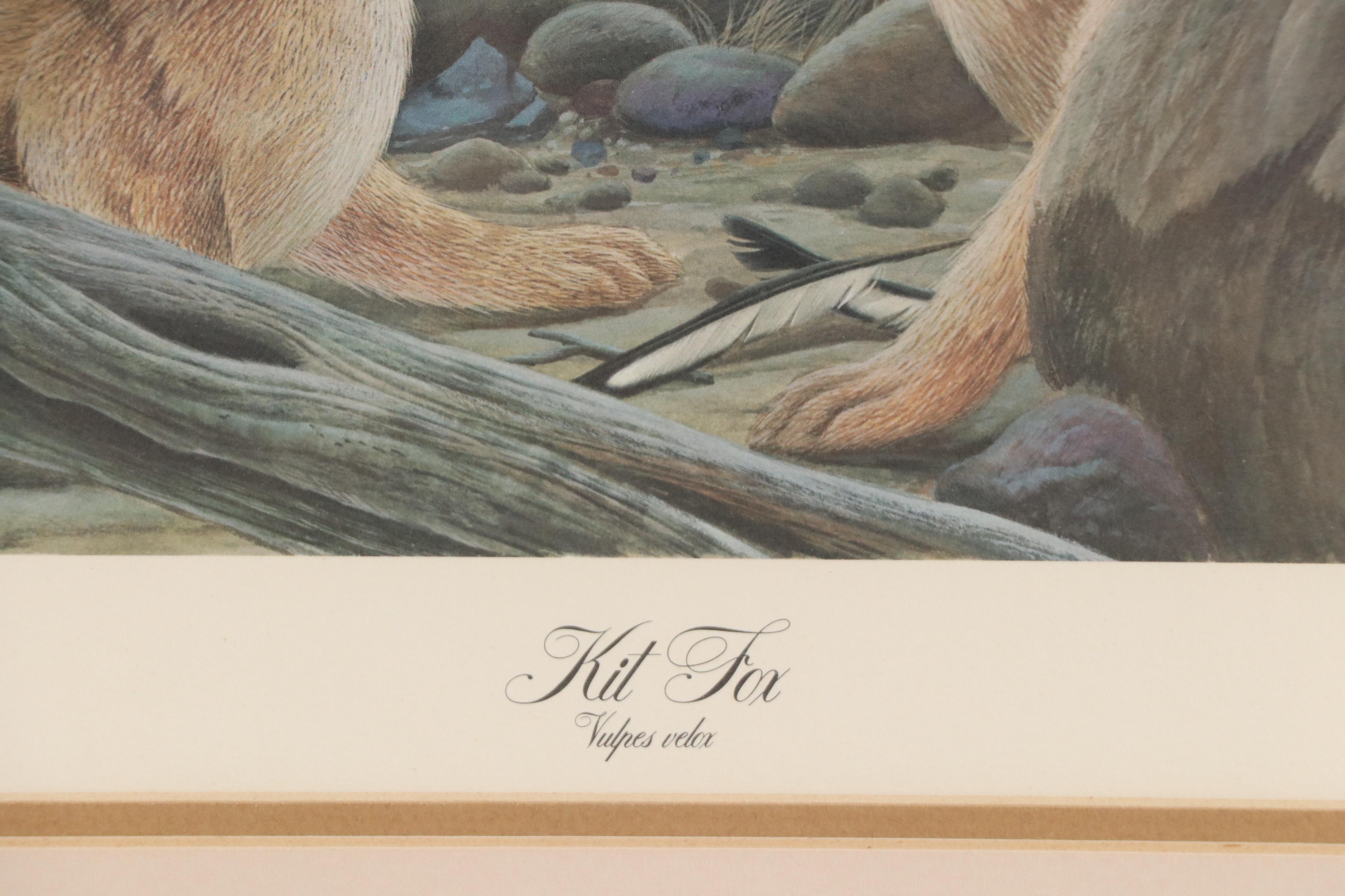 John A. Ruthven Offset Lithograph "Kit Fox"