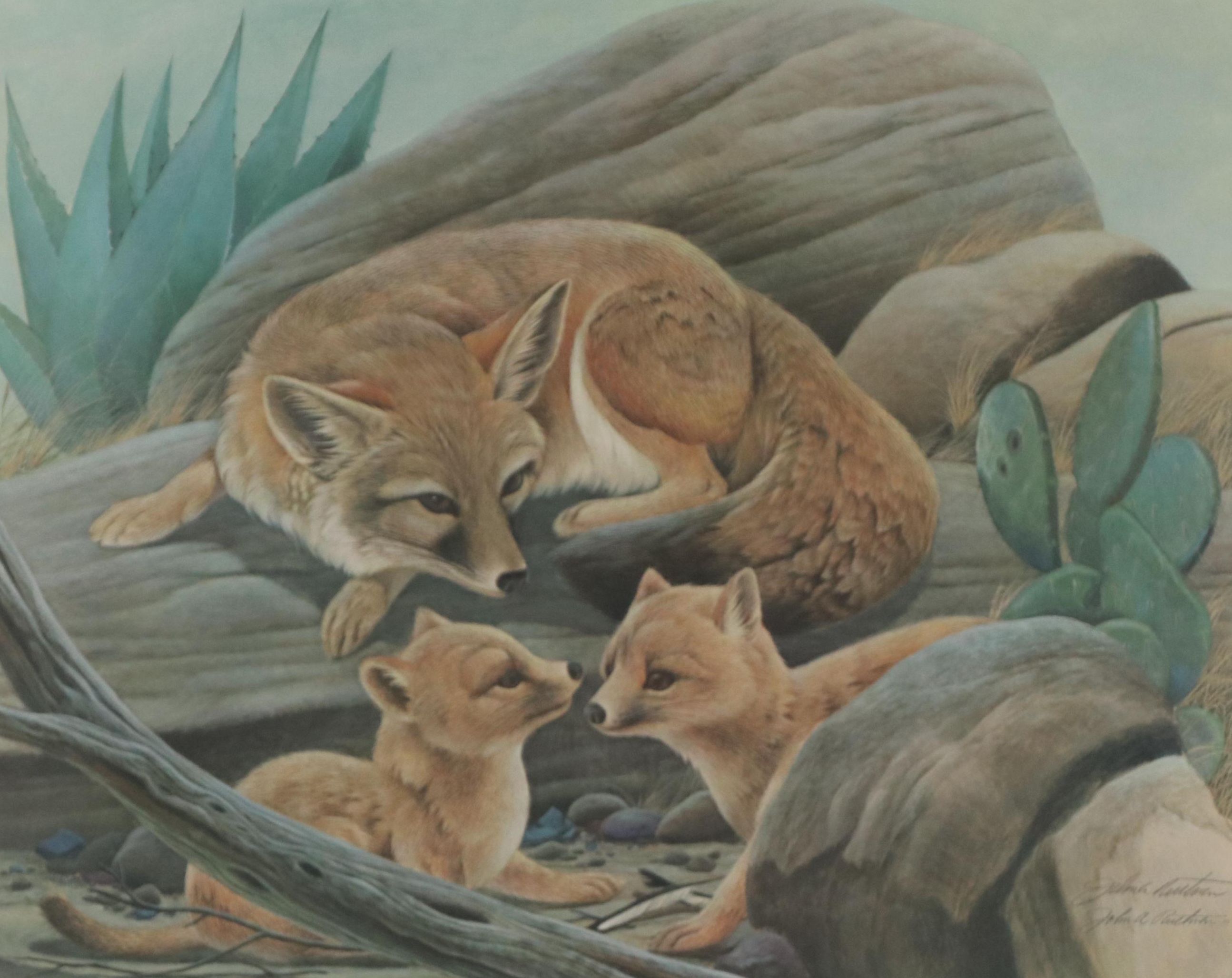 John A. Ruthven Offset Lithograph "Kit Fox"