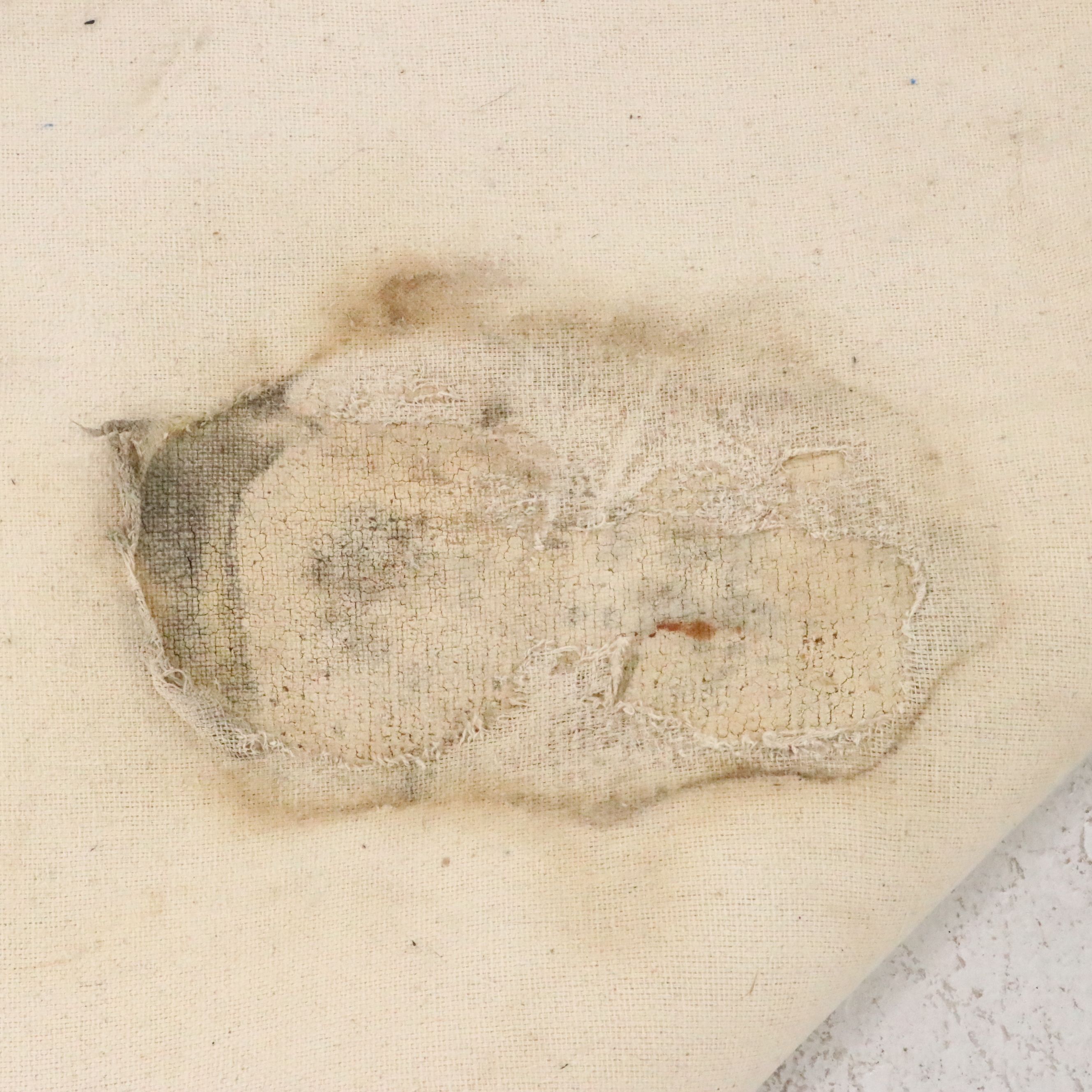 5'3 x 8'1 Hand-Tufted The Rug Gallery Contemporary Klimt Pattern Area Rug