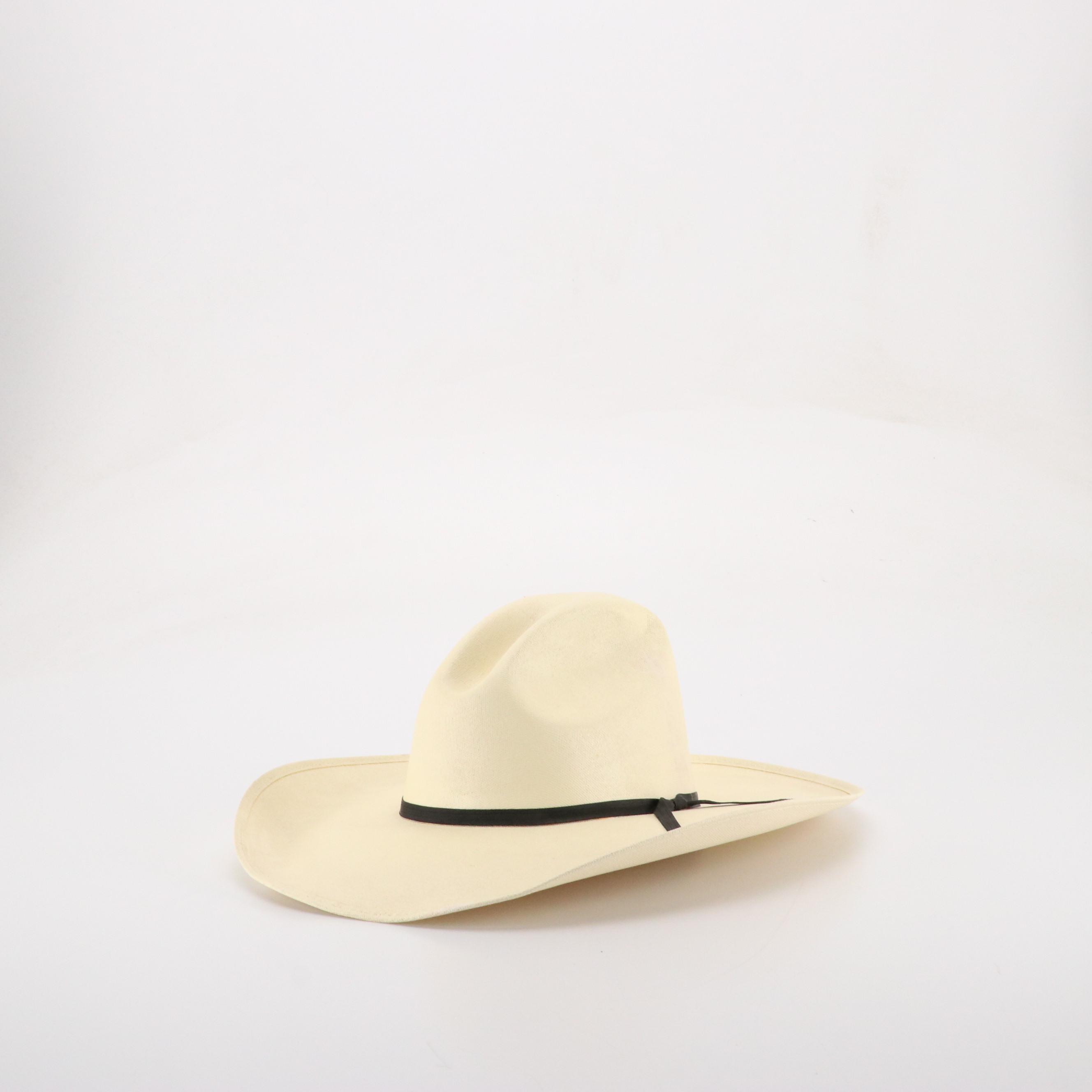 Rodeo King, Double S and Other Western Hat in Canvas and Beaver Fur Felt