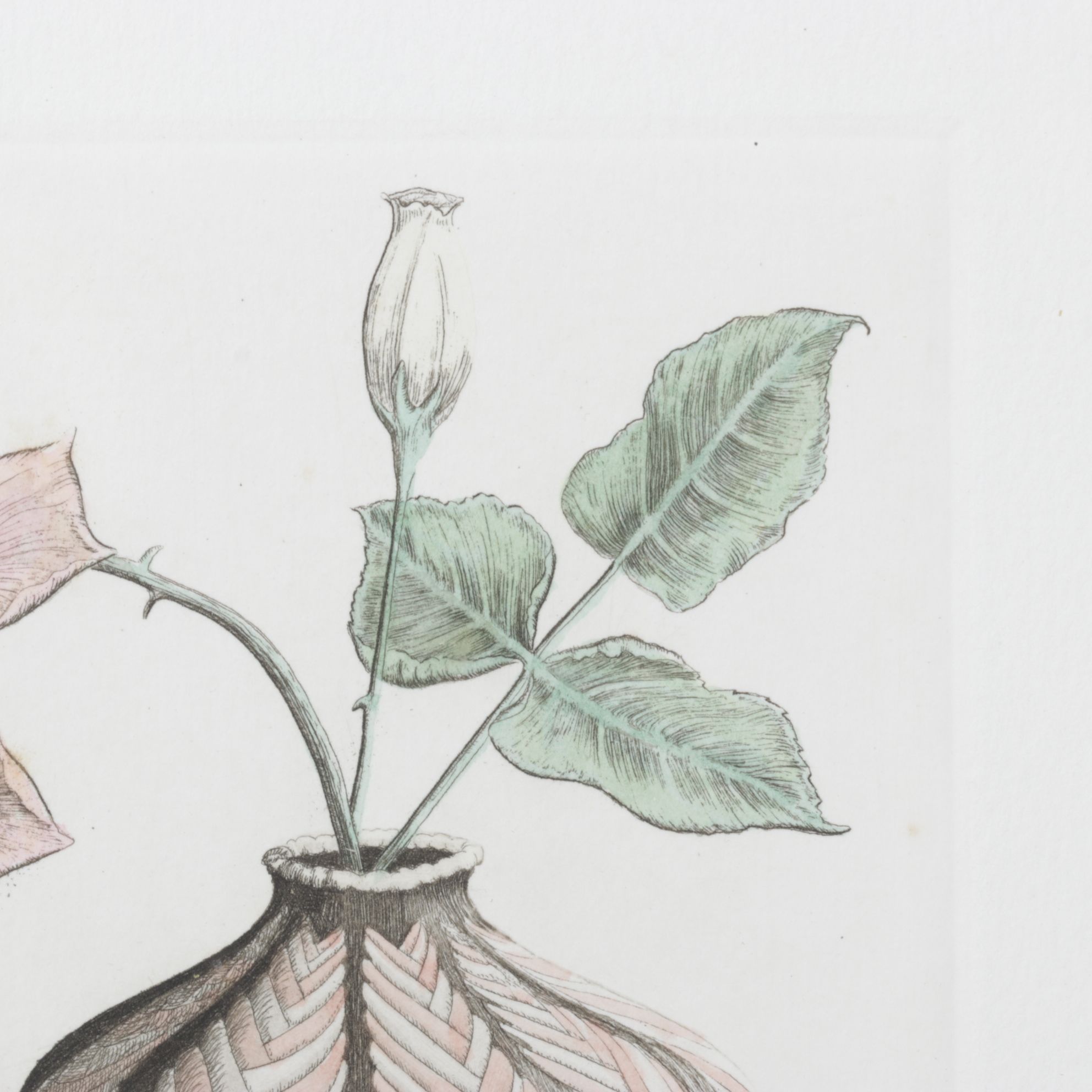 Rick Loudermilk "Roses" Hand-Colored Copperplate Etching, Late 20th Century