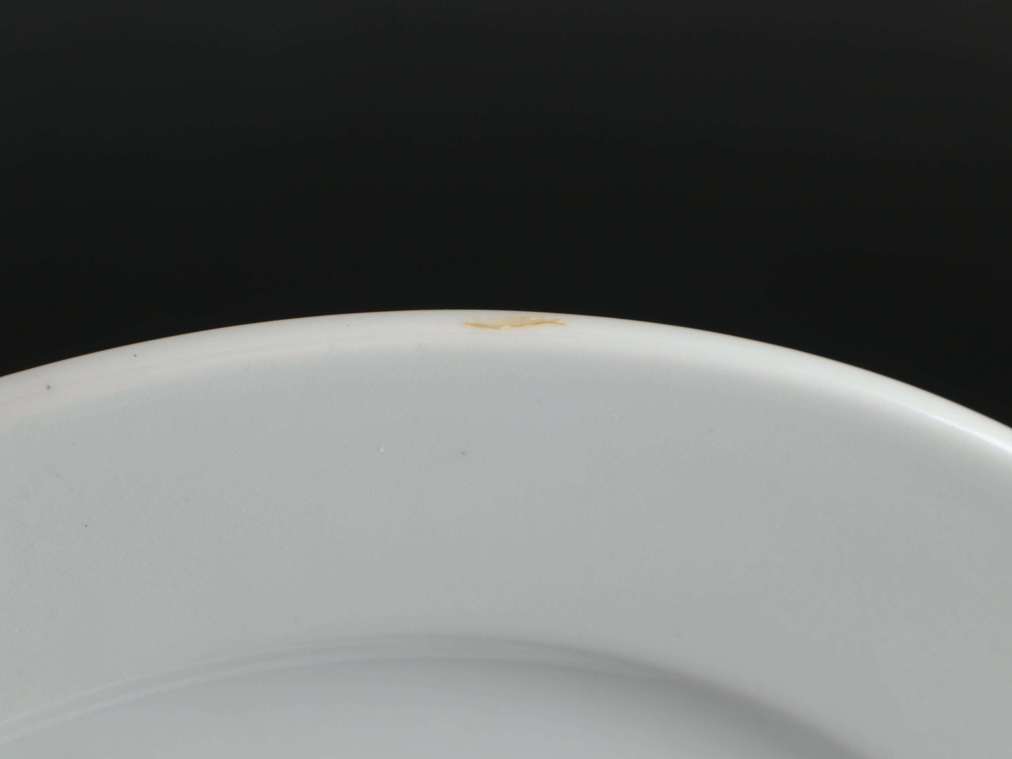 Sur La Table Porcelain Dinnerware