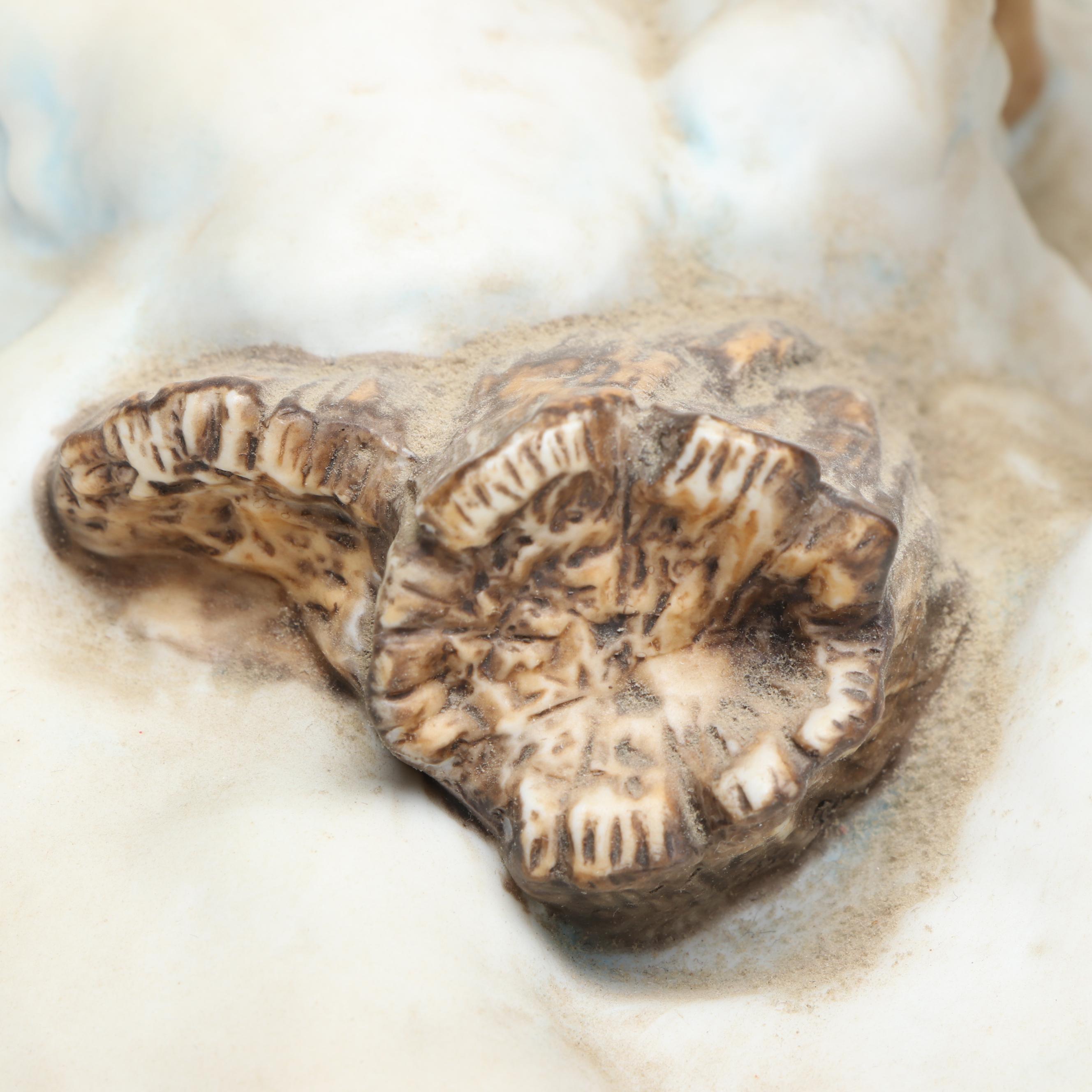 The Danbury Mint "The Jordan Buck" Porcelain Figurine