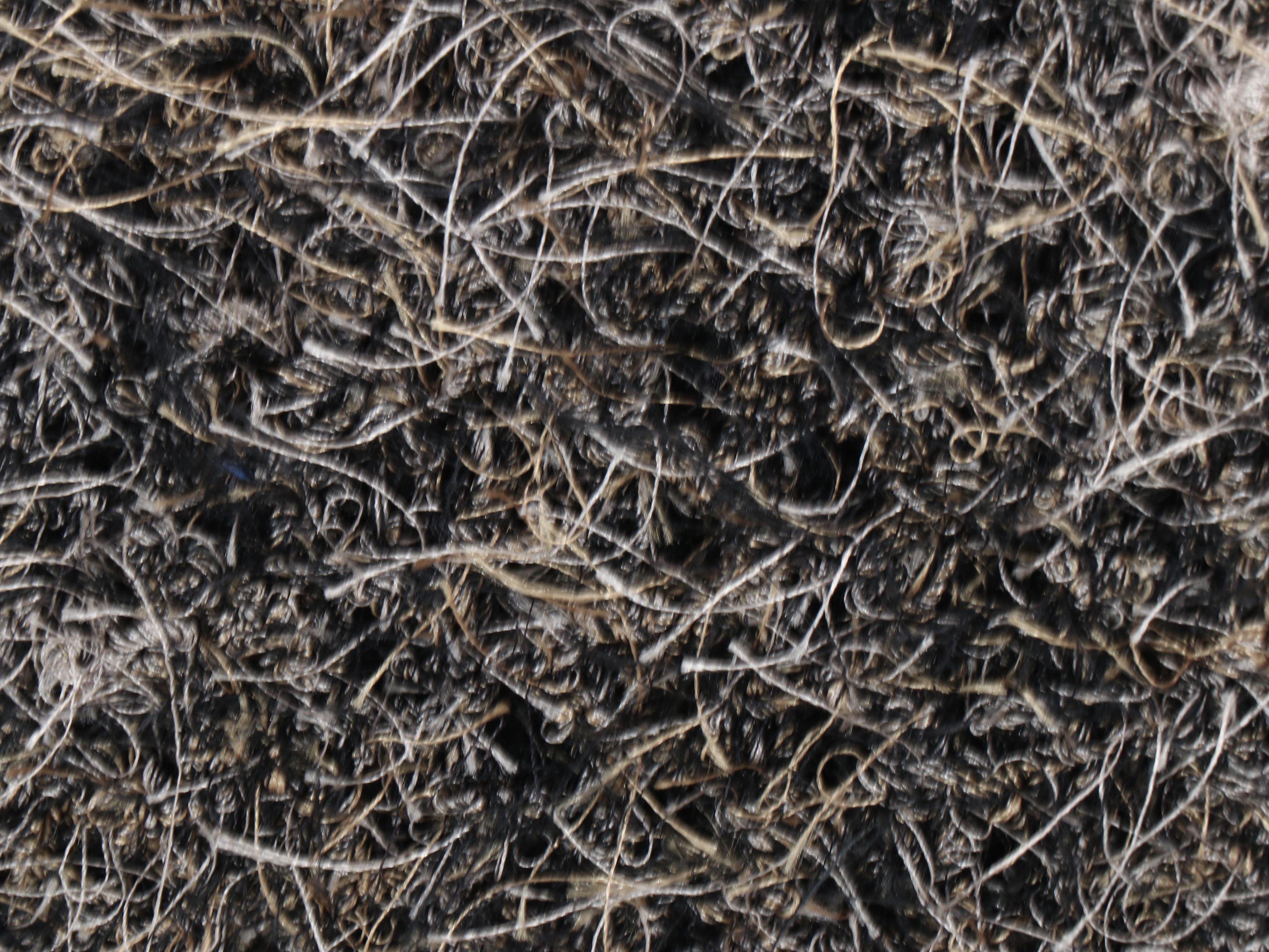 Diane Jackson Cole Throw Pillows and Blanket