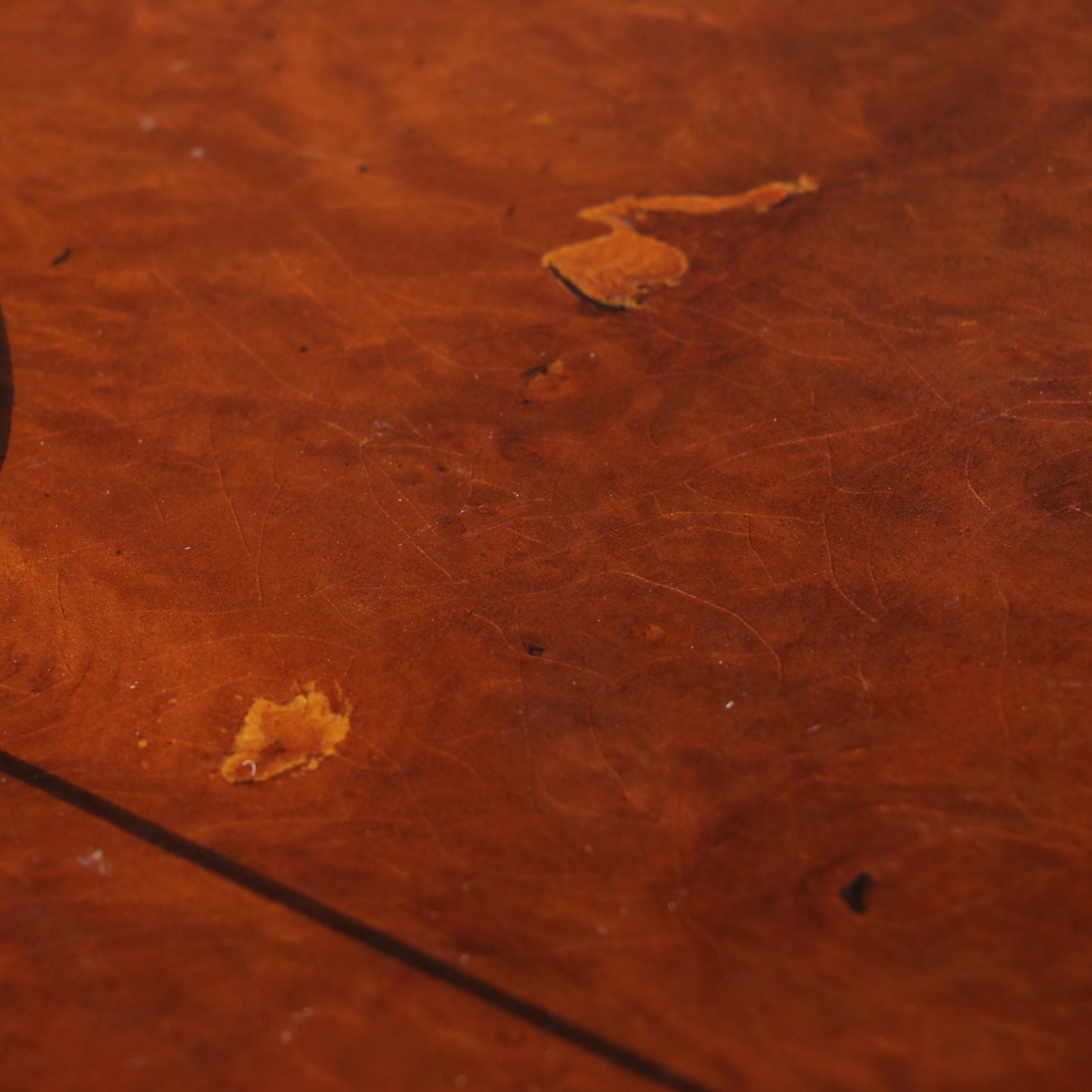 Edwardian Style Inlaid Burl and Mixed Wood Revolving Bookcase, 20th Century