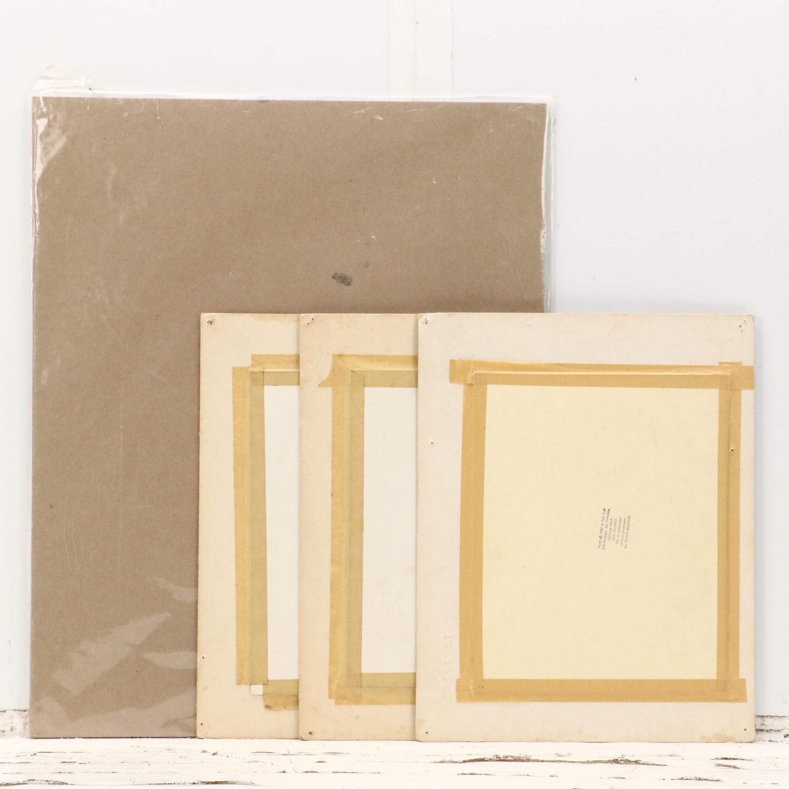 Tom Copi Photographic Prints and Other Giclée of Jimi Hendrix