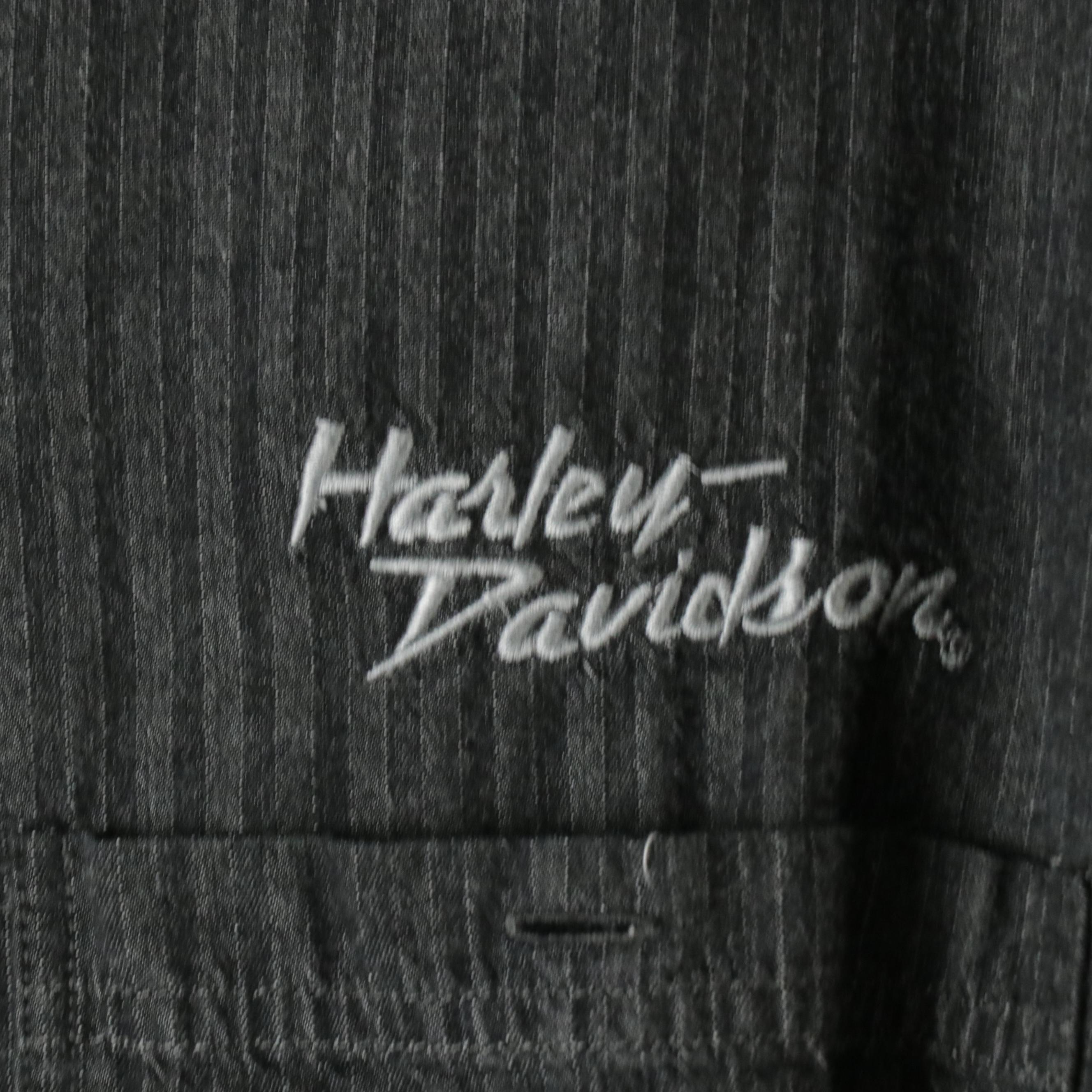 Men's Harley Davidson Capsule Wardrobe Featuring Button-Ups, T-Shirts, and More