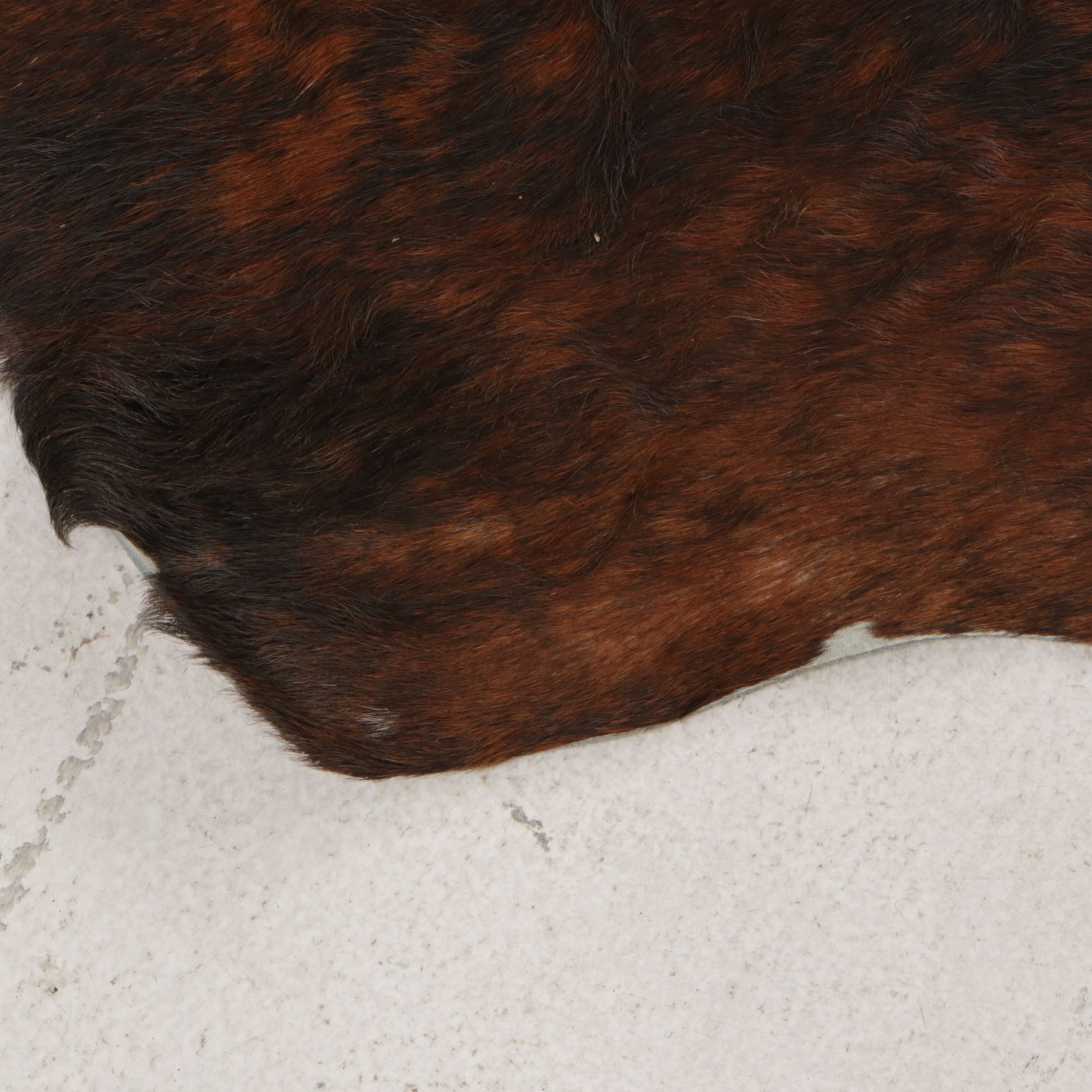 7'4 x 6'6 Natural Cow Hide Area Rug