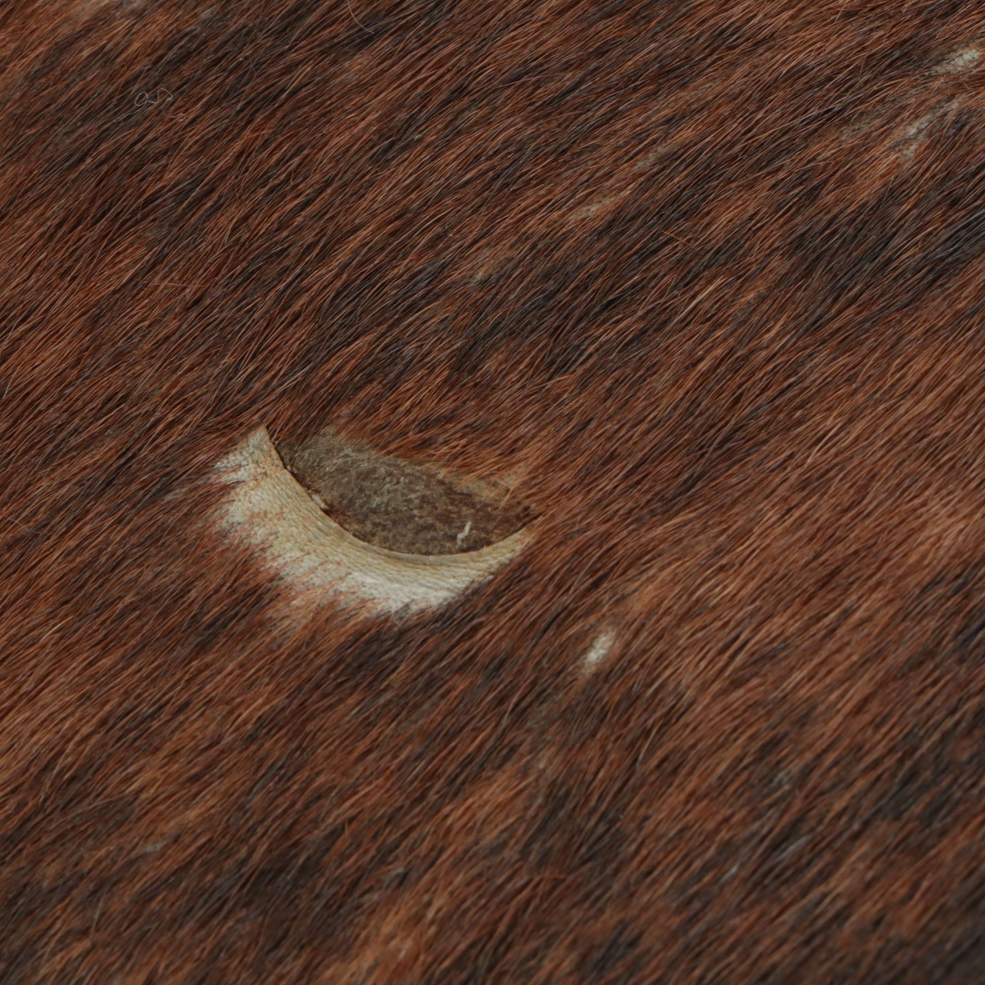 7'4 x 6'6 Natural Cow Hide Area Rug