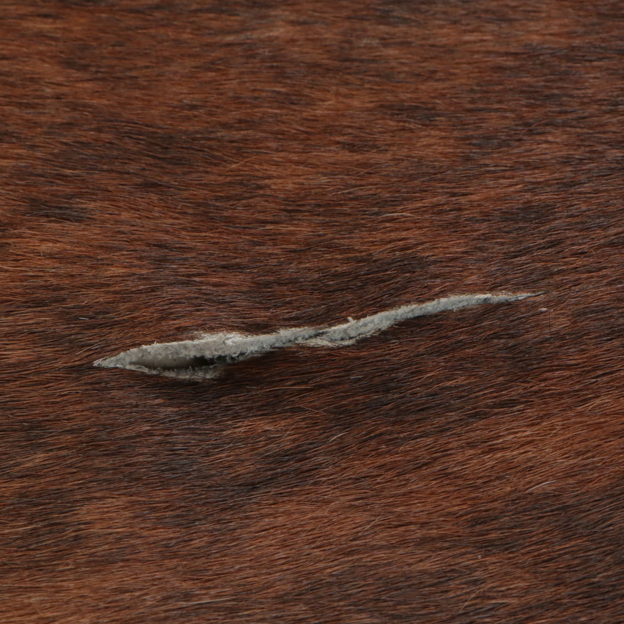 7'4 x 6'6 Natural Cow Hide Area Rug