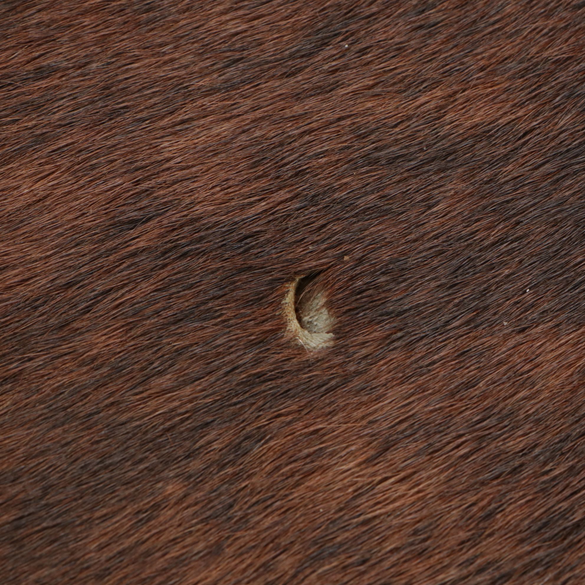 7'4 x 6'6 Natural Cow Hide Area Rug