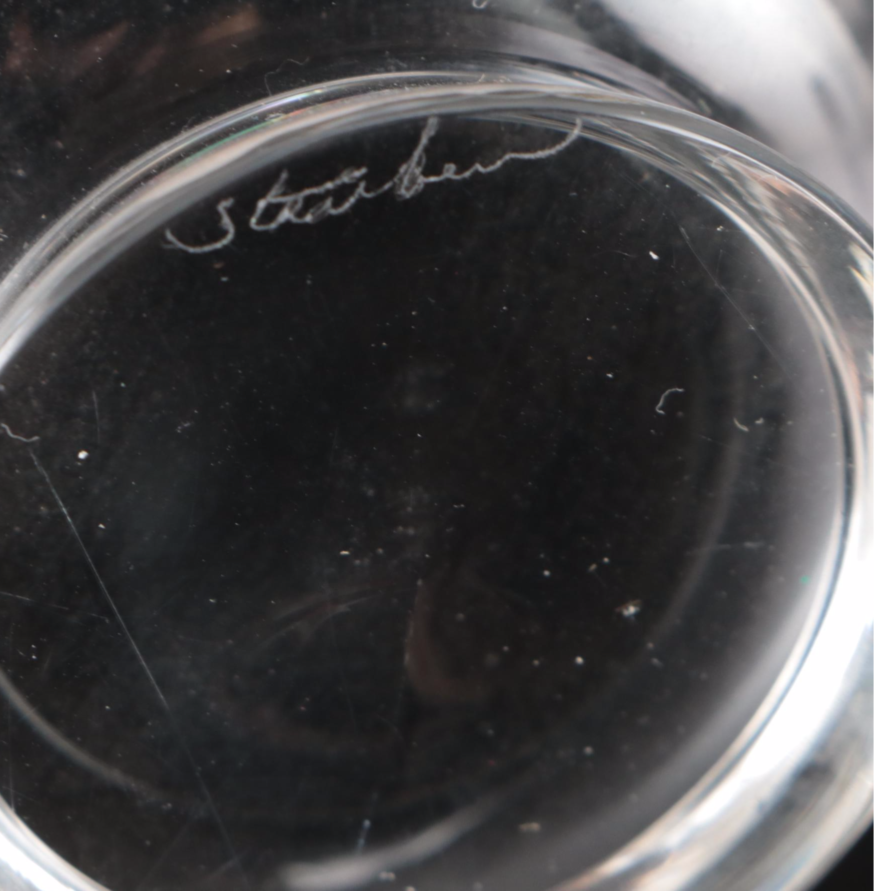 Steuben Glass Sugar Bowl and Creamer