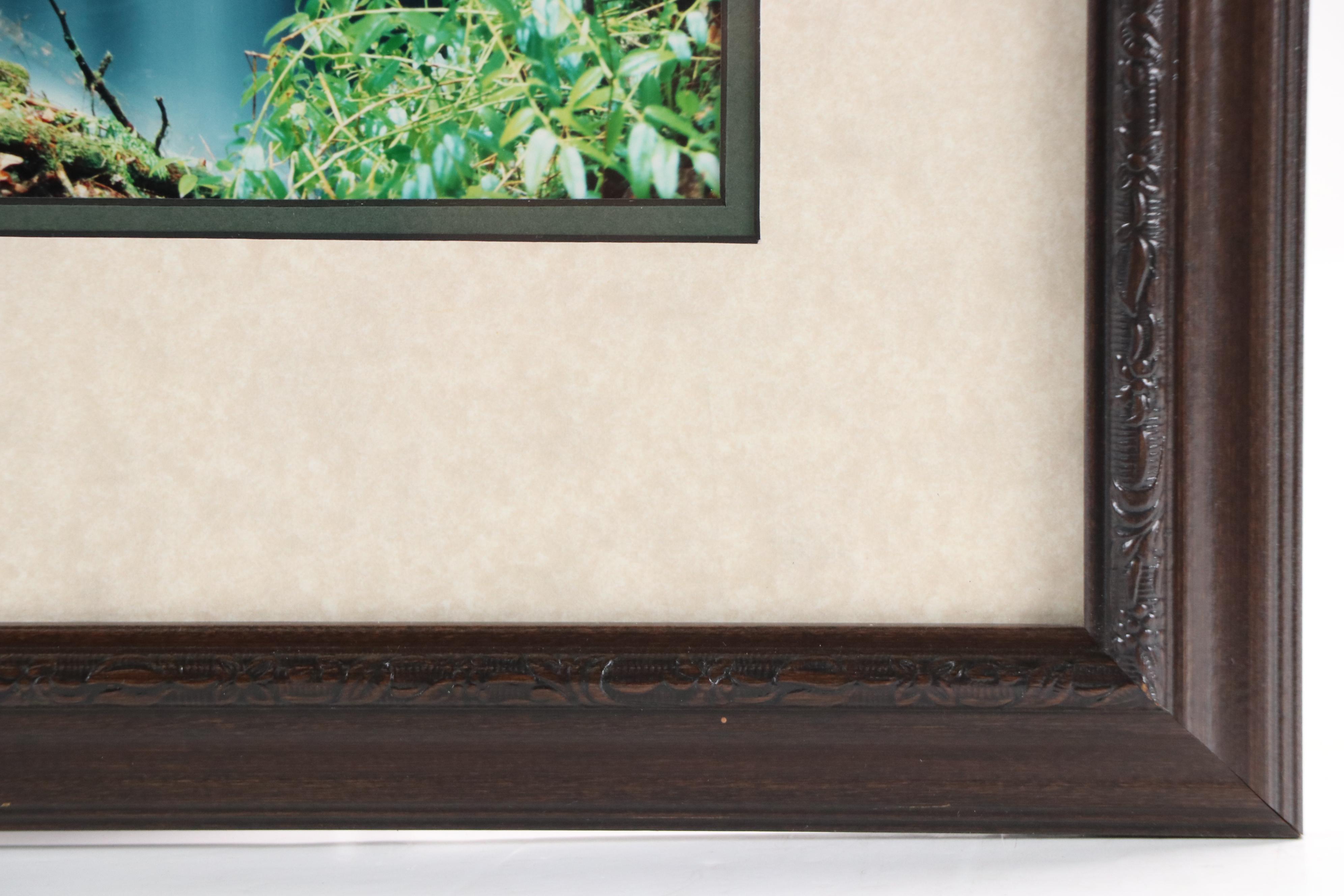 Photographs "A New Spring" and "One of Many Little Known Falls"