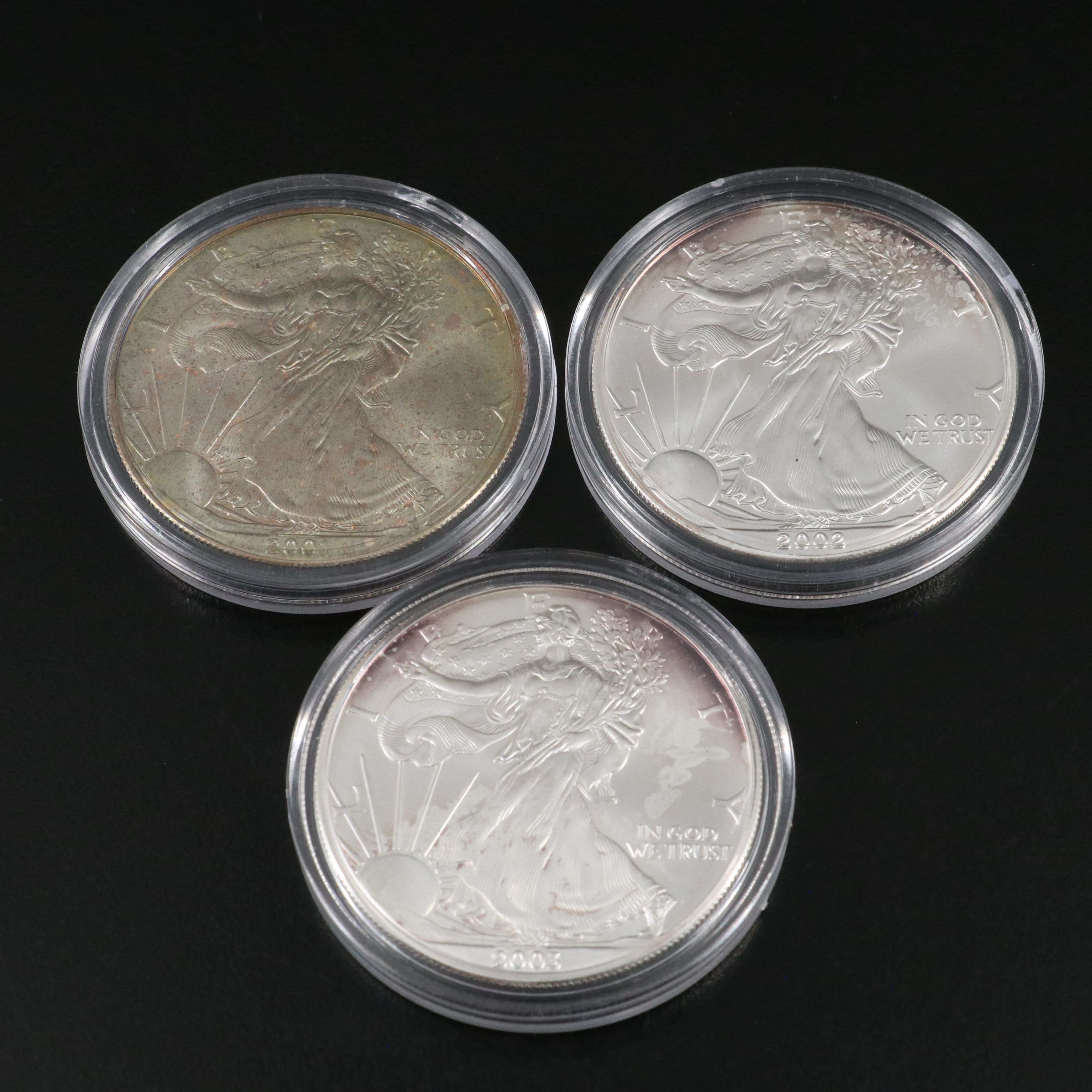 Ten Different Mint State U.S. Silver Eagles