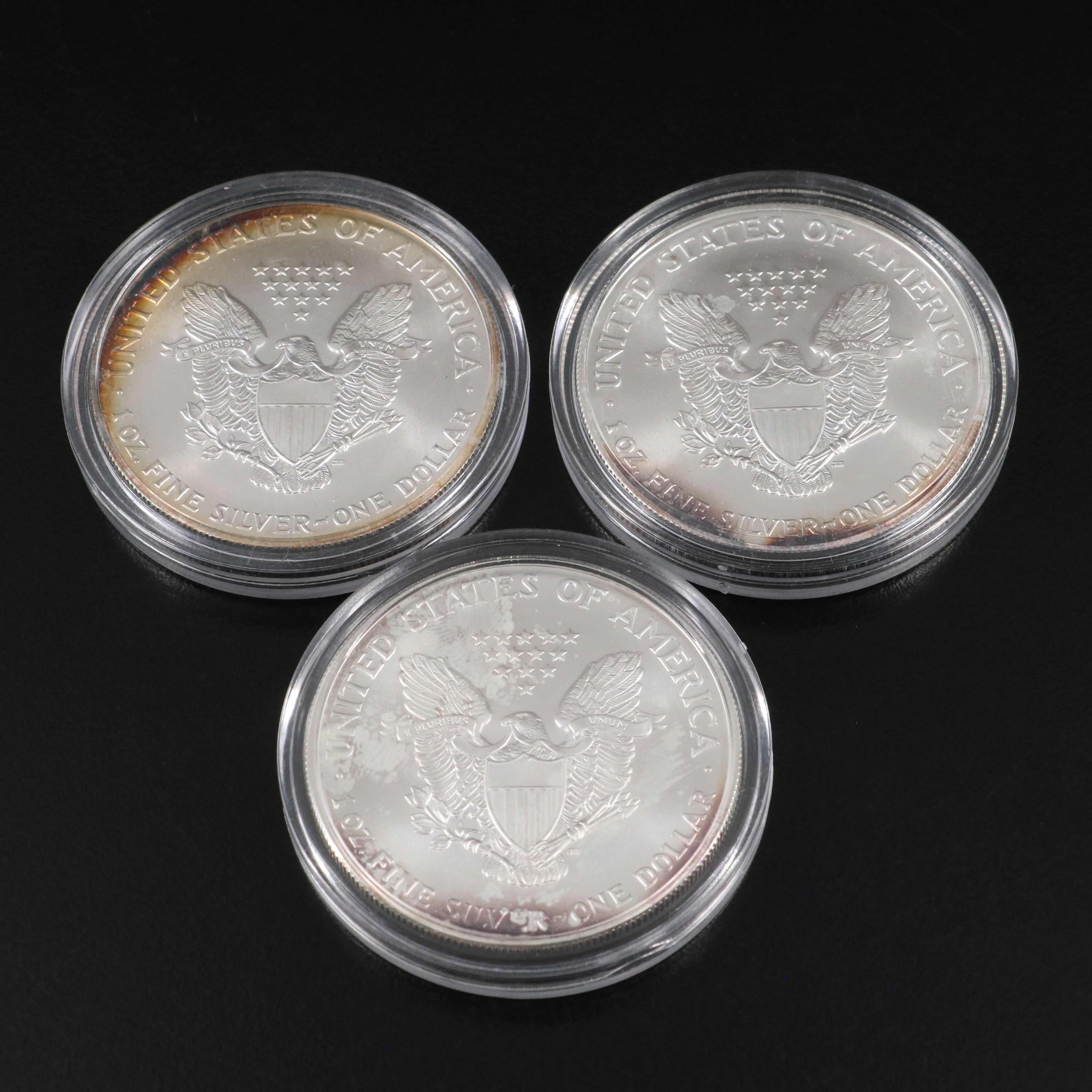 Ten Different Mint State U.S. Silver Eagles