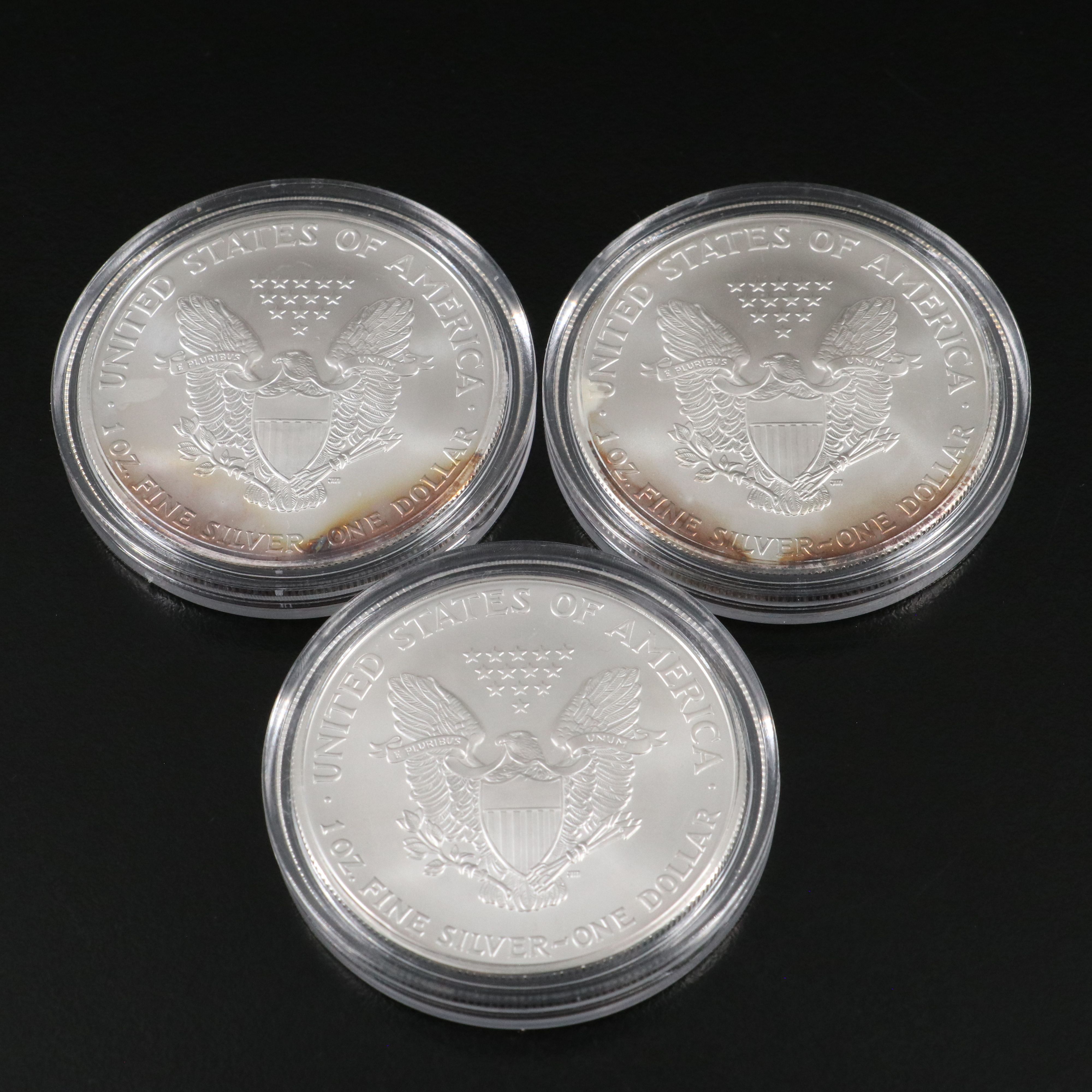 Ten Different Mint State U.S. Silver Eagles