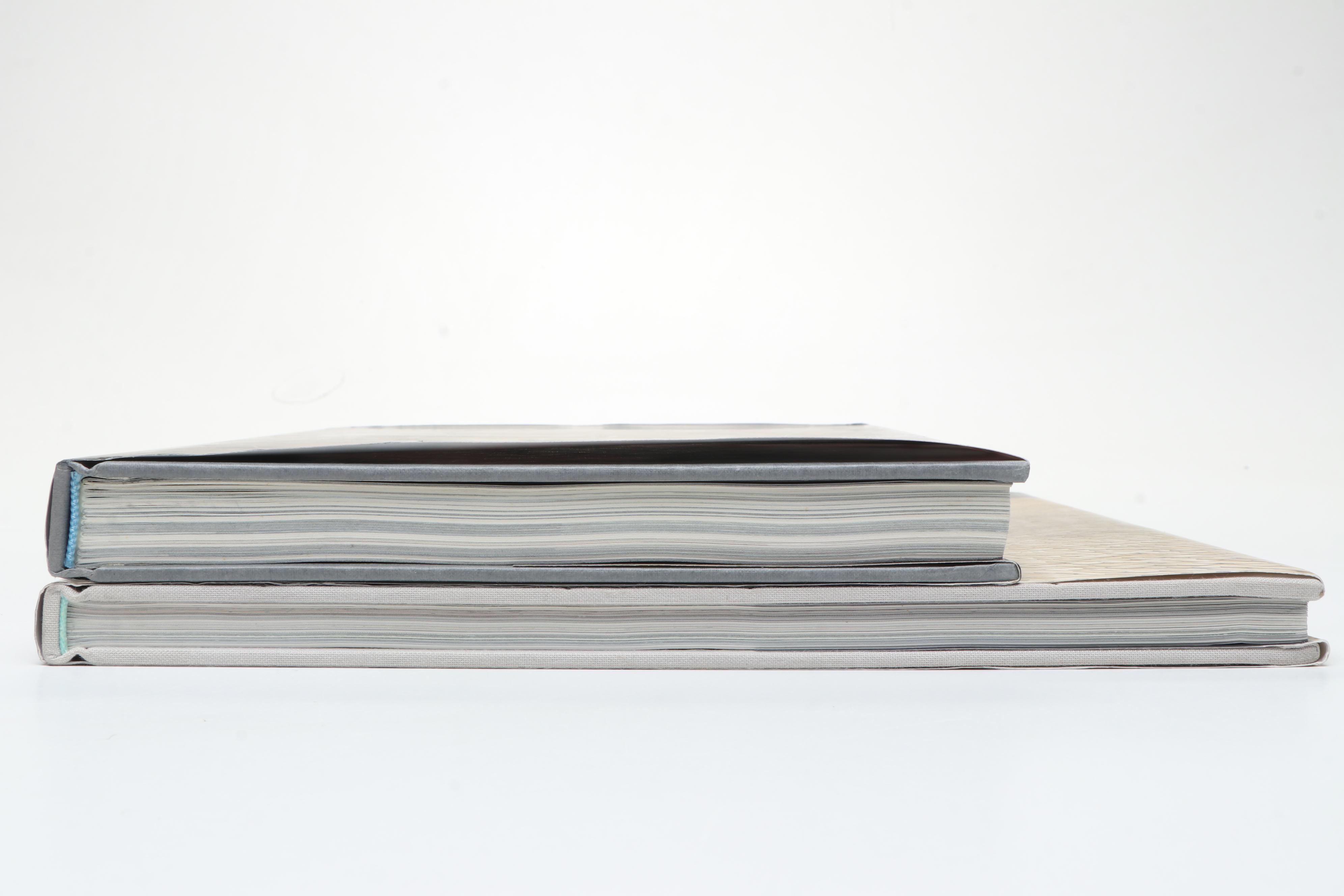 "Boundaries" and "Systematic Landscapes" by Maya Lin