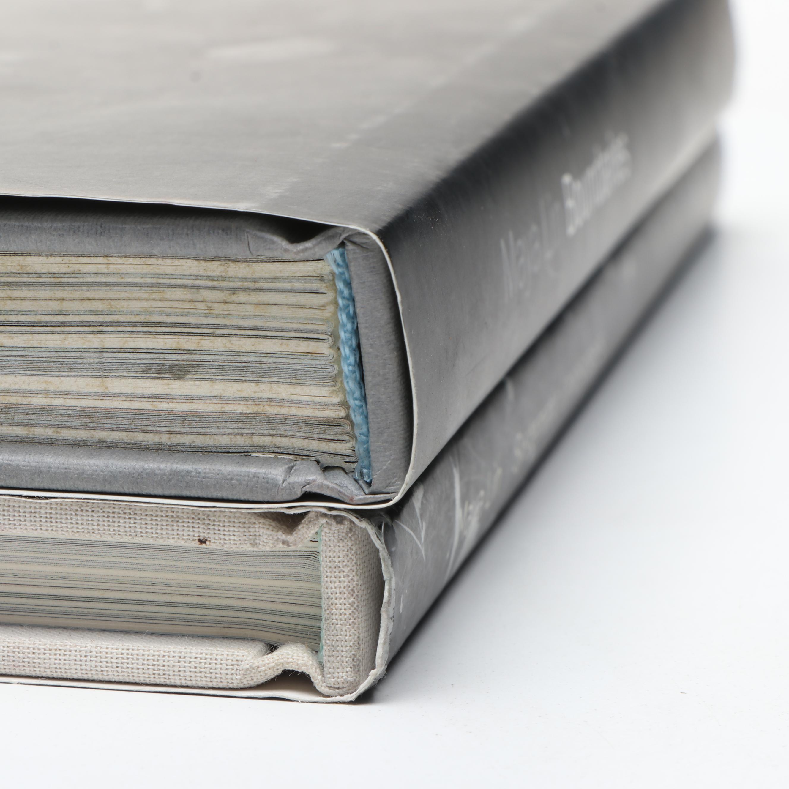 "Boundaries" and "Systematic Landscapes" by Maya Lin