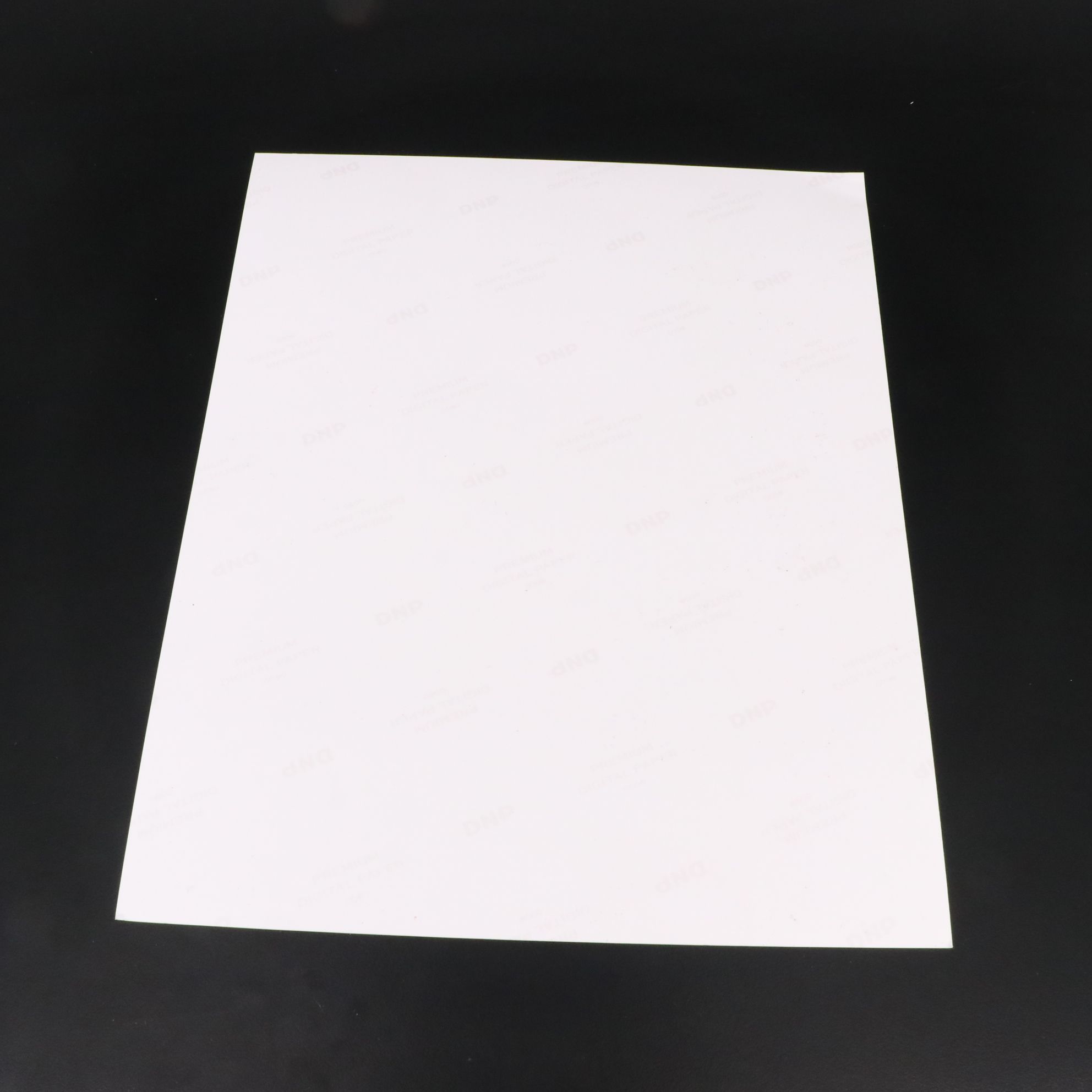 Barbara Eden Signed "I Dream of Jeannie" TV Print