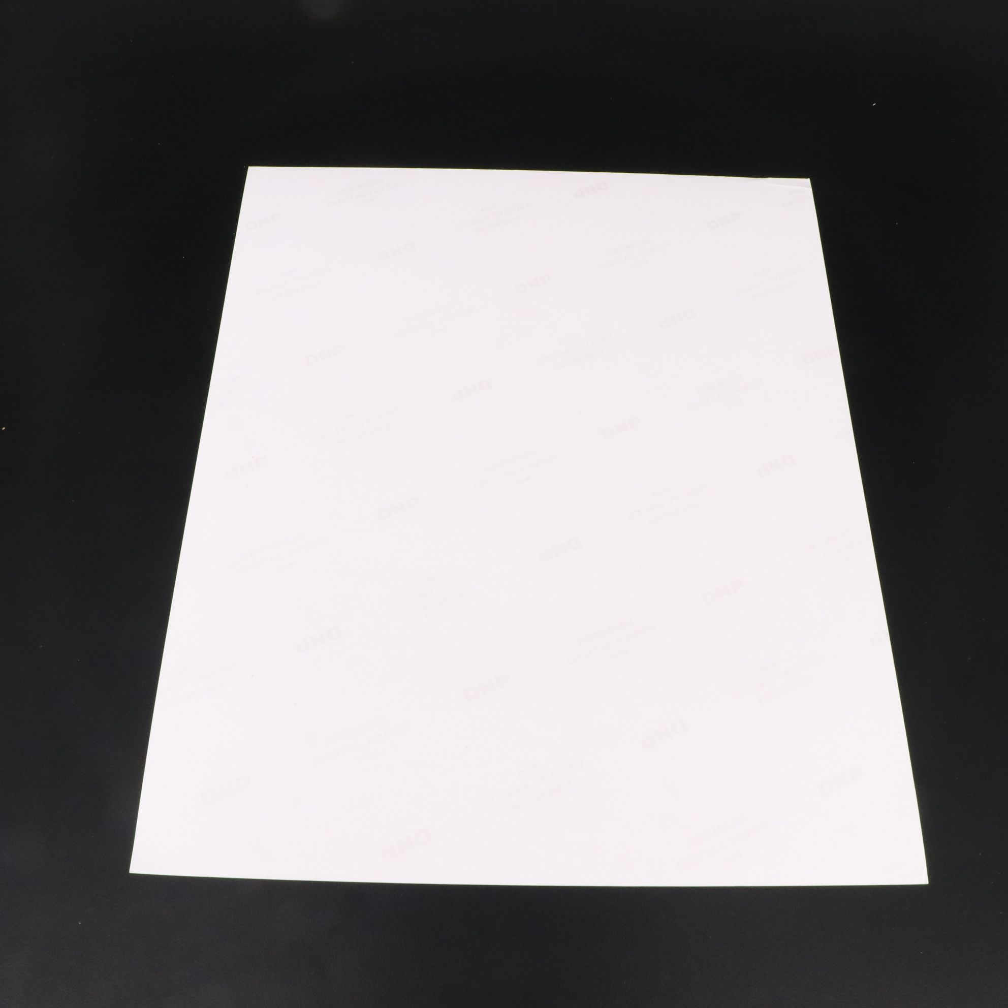 Barbara Eden Signed "I Dream of Jeannie" TV Print