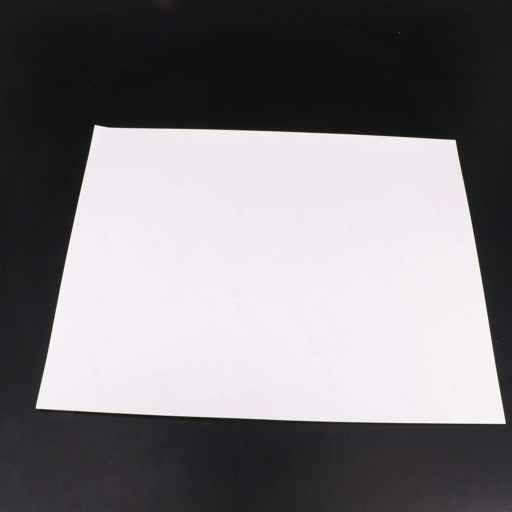 Jacqueline Bisset Signed "The Deep" Movie Print