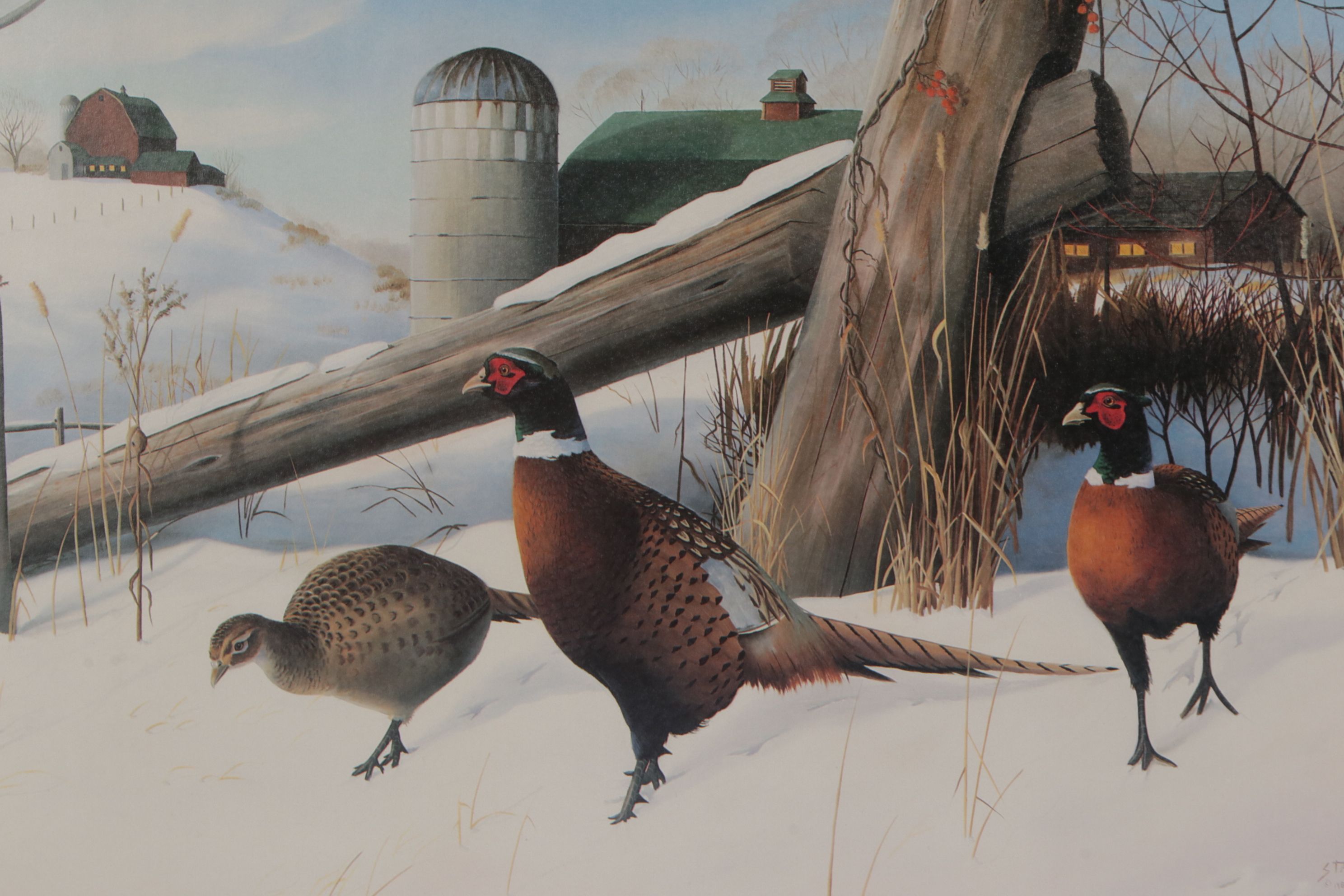 Leo Stans "United States Wildlife Heritage Collection", Four Offset Lithographs