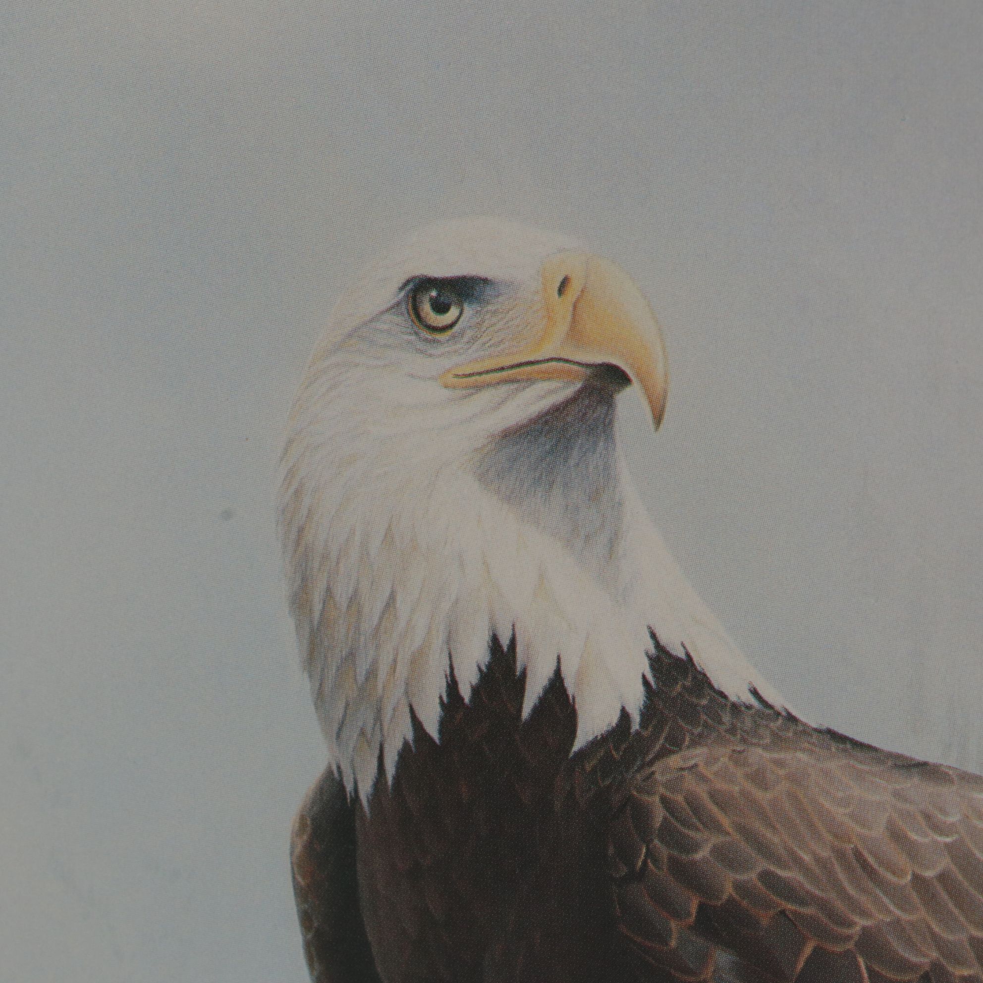 Leo Stans "United States Wildlife Heritage Collection", Four Offset Lithographs