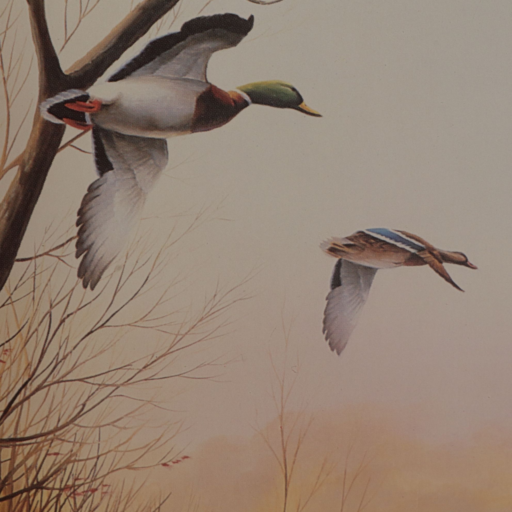 Leo Stans "United States Wildlife Heritage Collection", Four Offset Lithographs