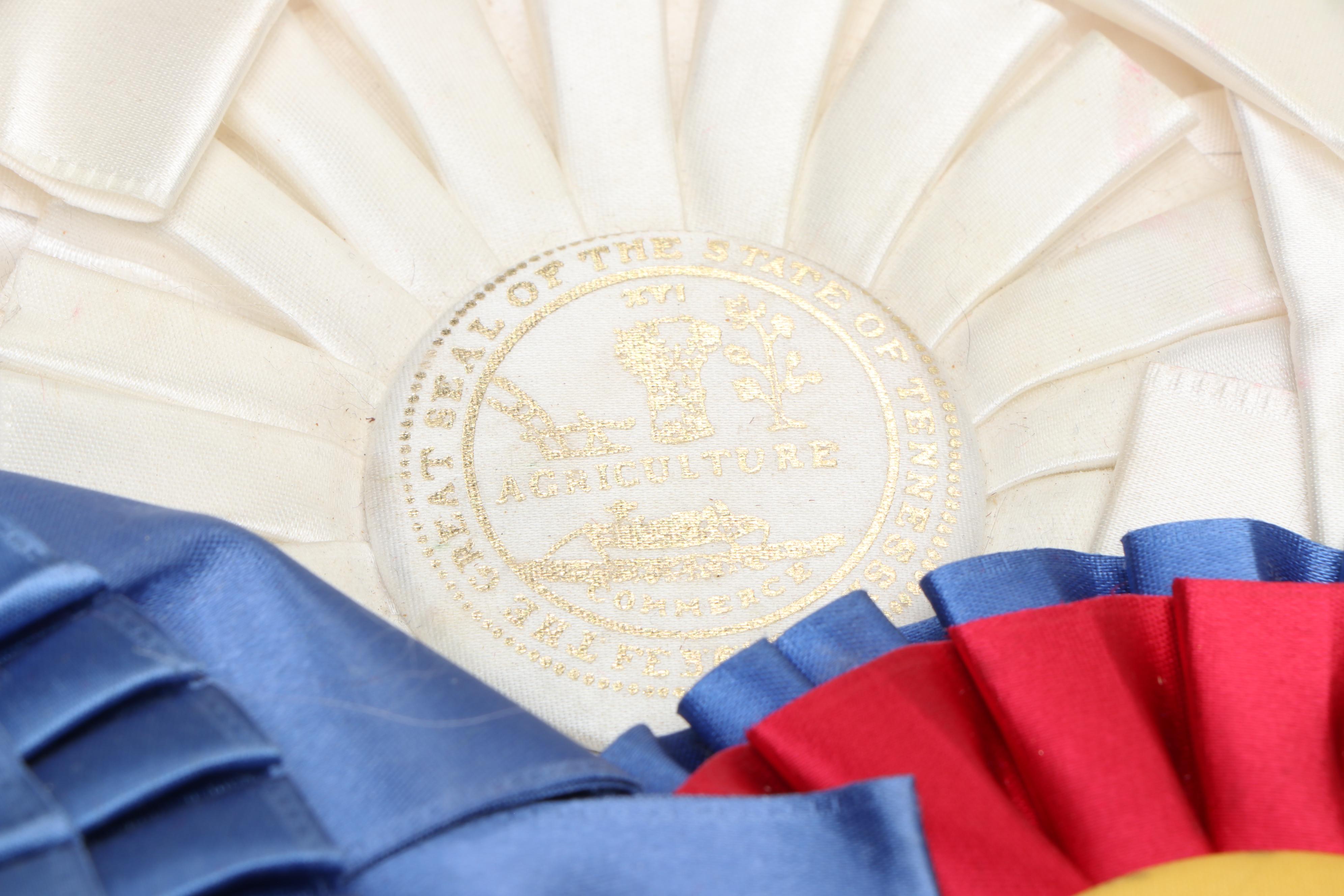 Tennessee and Kentucky Equestrian Award Ribbons