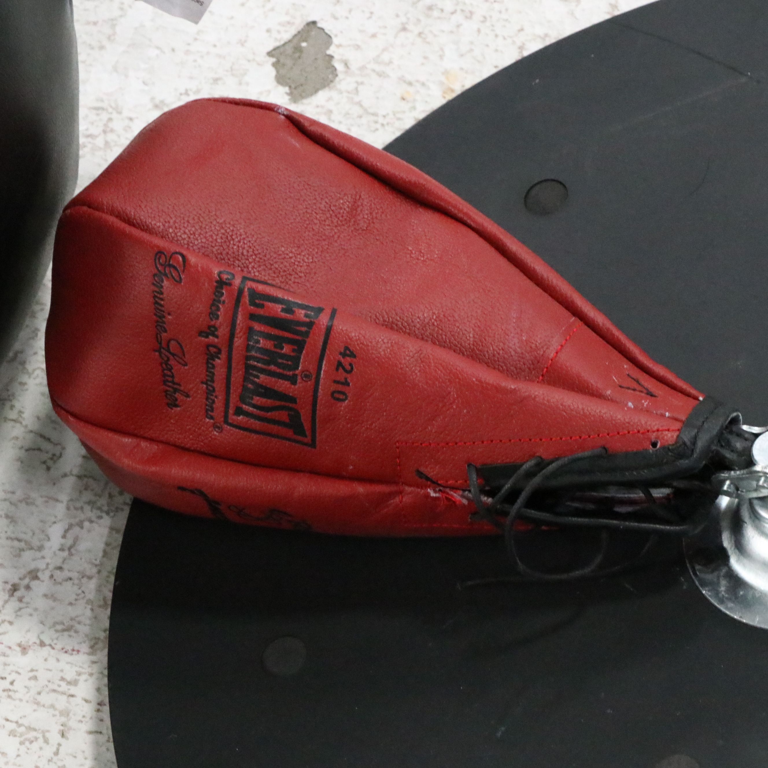 Everlast Punching Bag with Hand-Grips