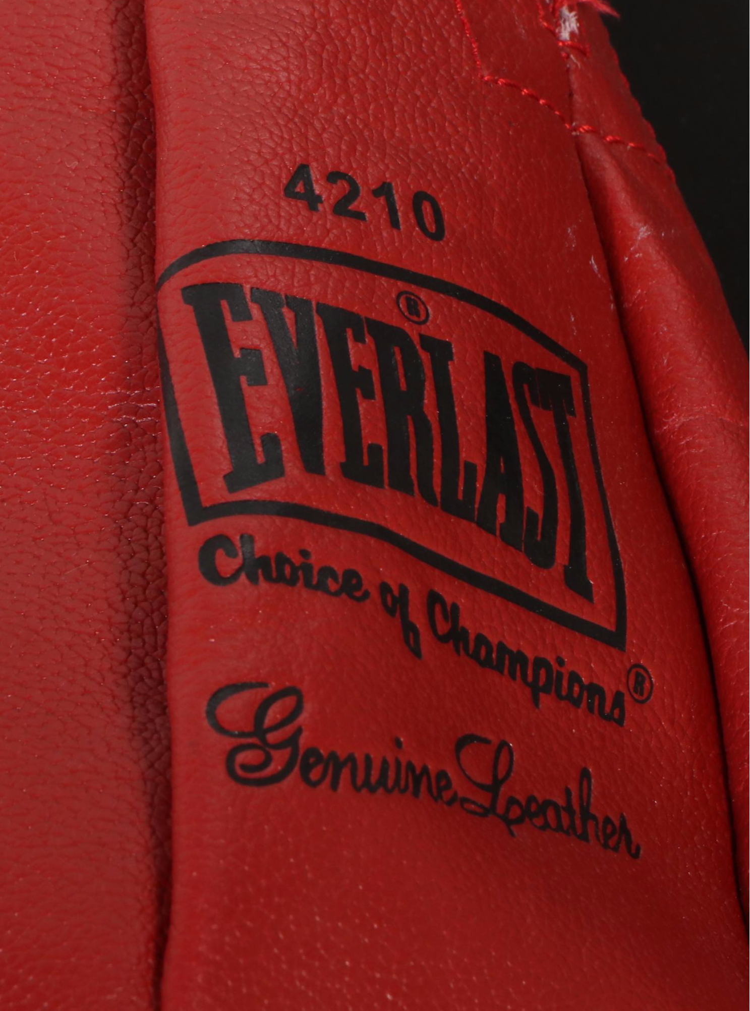 Everlast Punching Bag with Hand-Grips