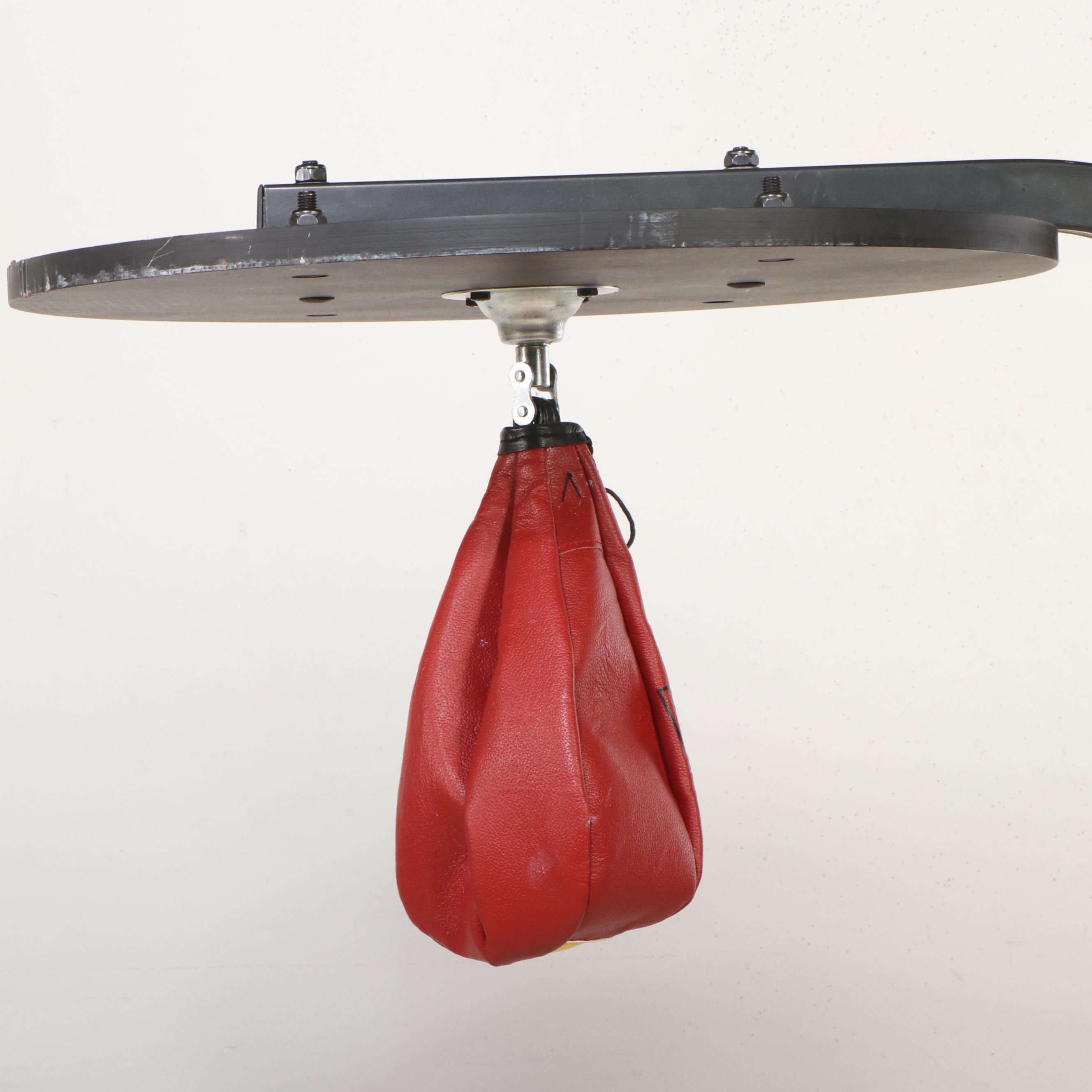 Everlast Punching Bag with Hand-Grips
