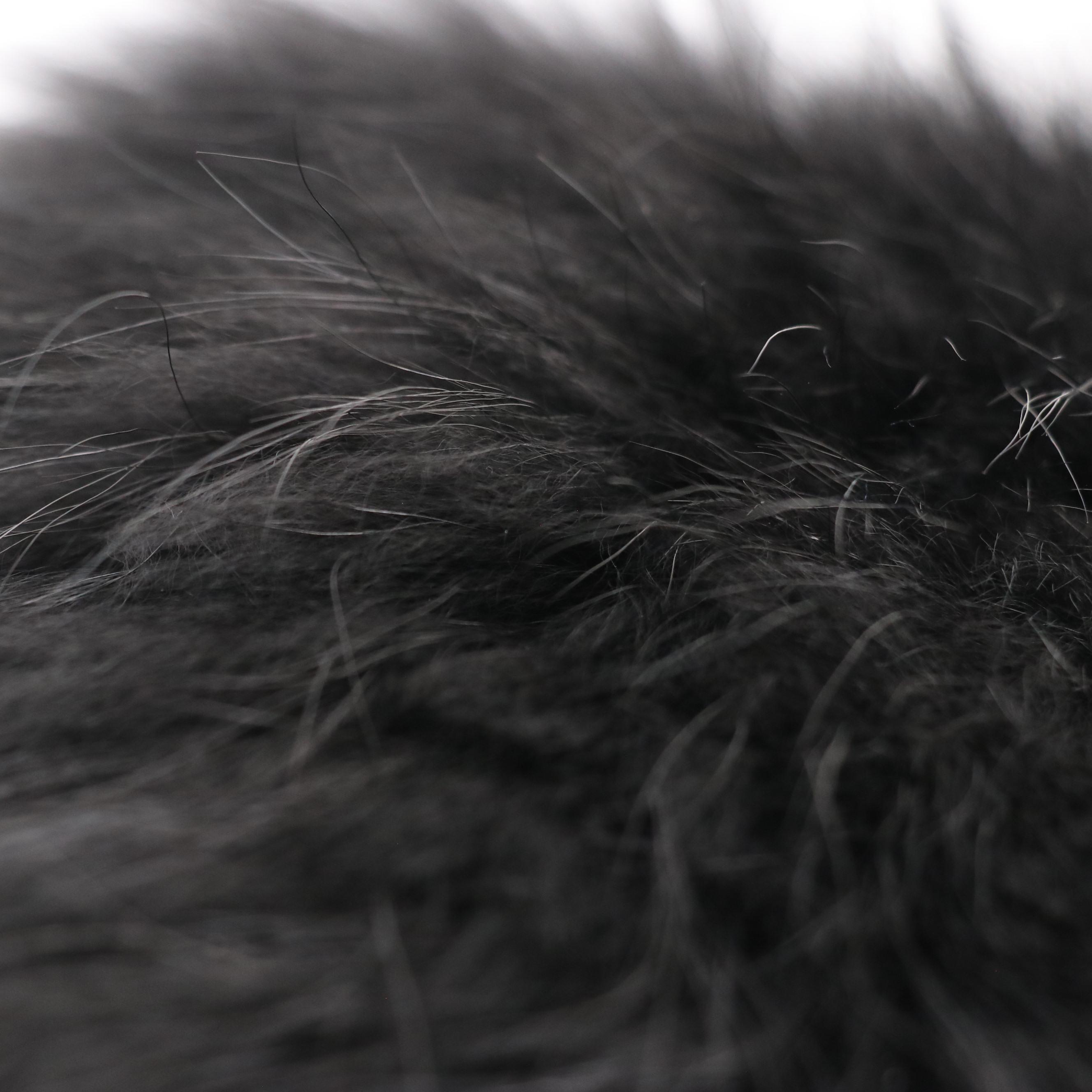 Giuseppe Zanotti Tina Stiletto Booties in Black Sheepskin and Printed Pony Hair