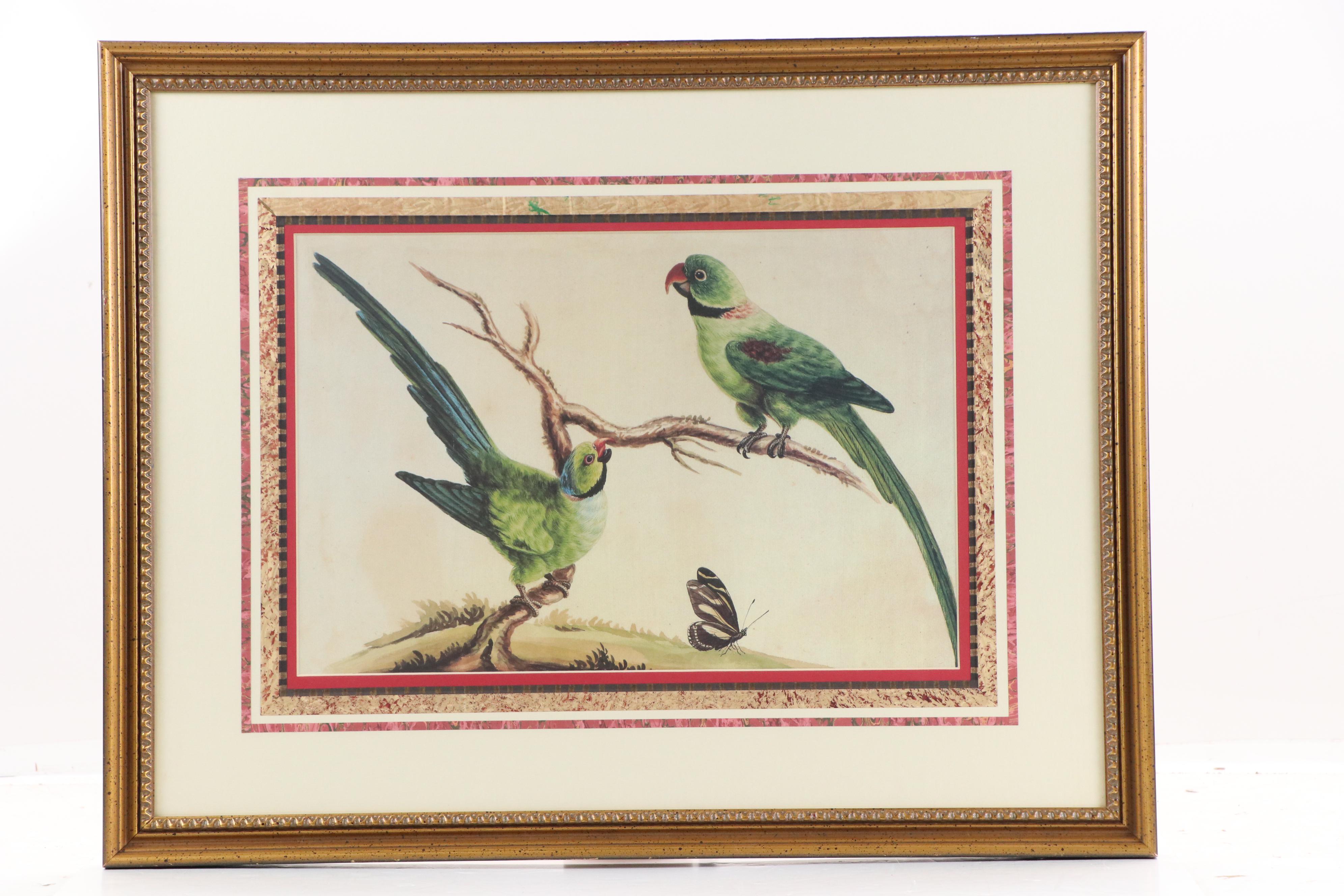 After Sarah Stone Ornithological Offset Lithographs, Circa 2010